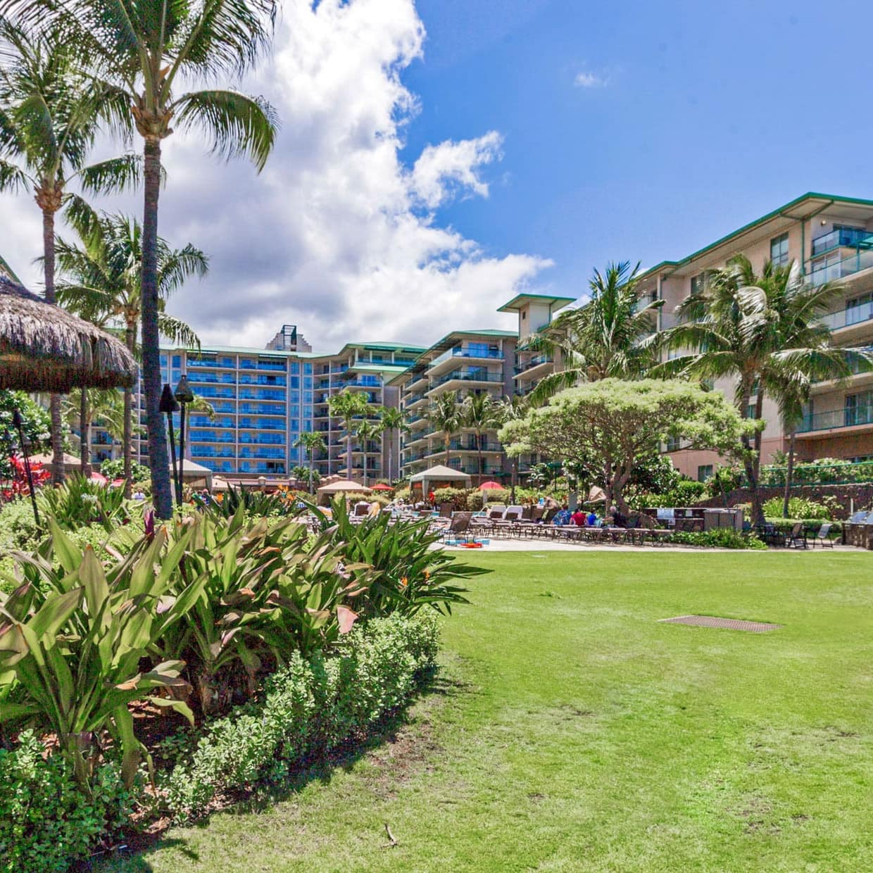 Maui resort condos with lush garden, palm trees, and pool in Hawaii