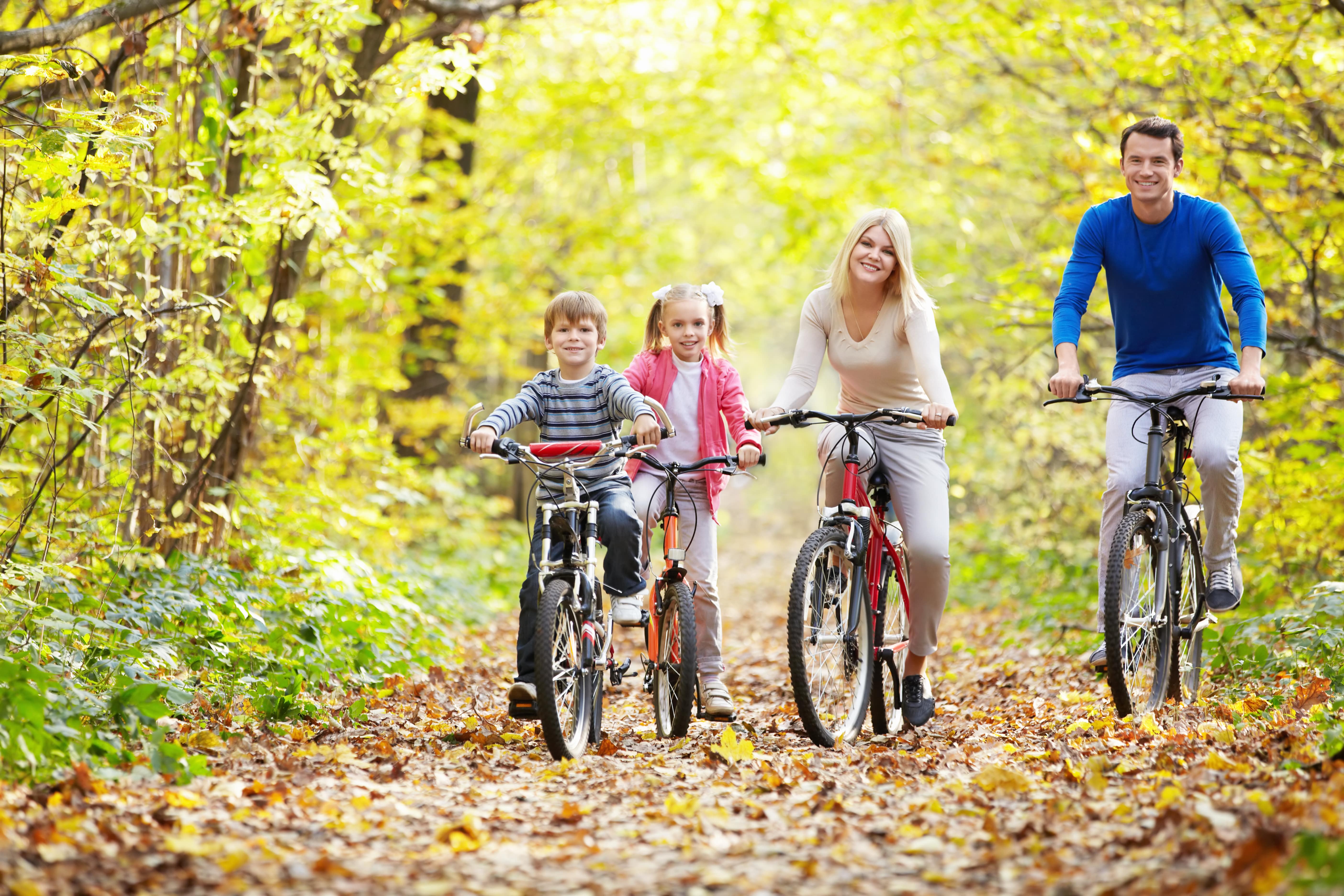 Familie på cykeltur i efterårsskov