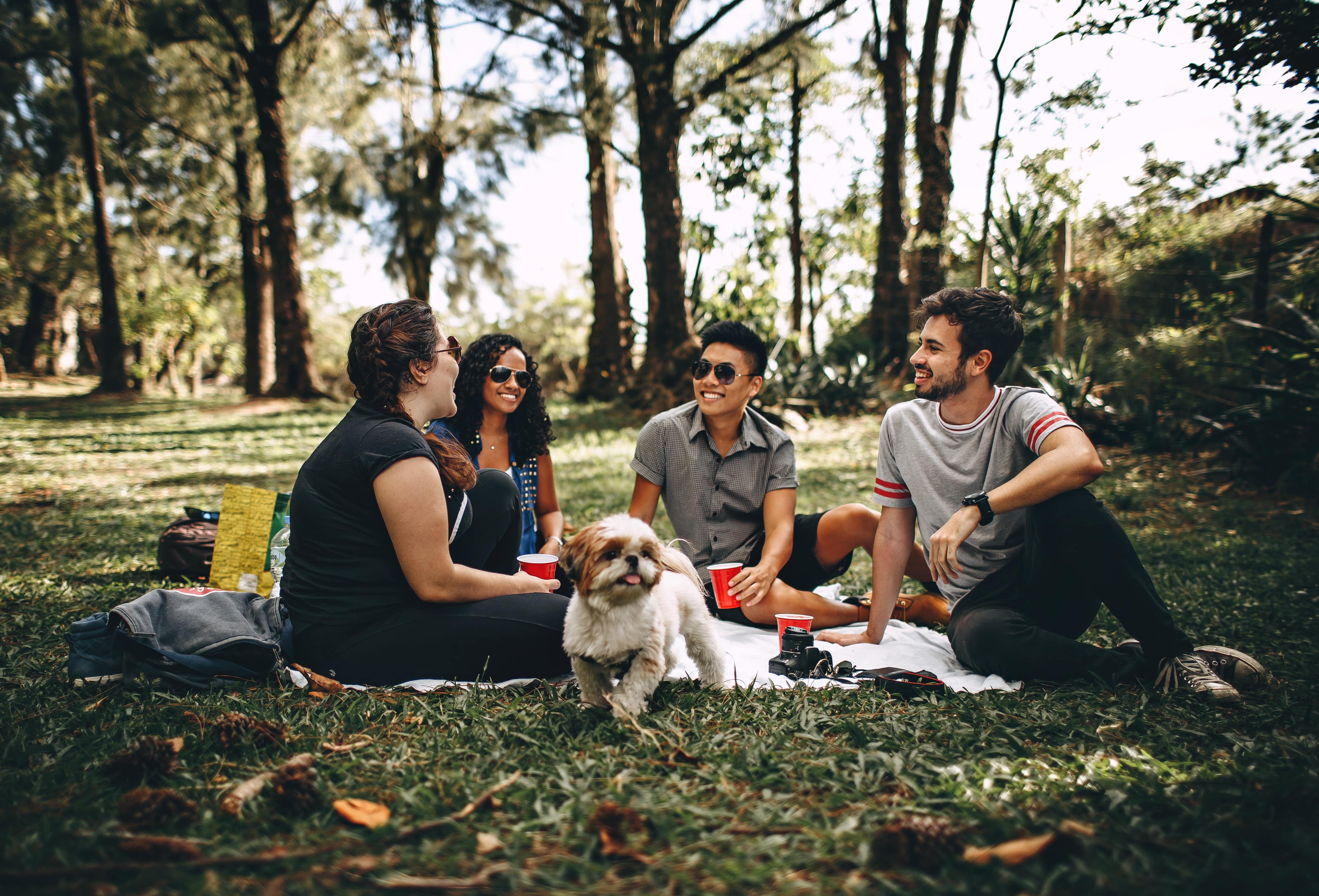 Stock image - People/teenagers/young friends and dog having a picnic - Pets holiday - Photo by Helena Lopes from Pexels