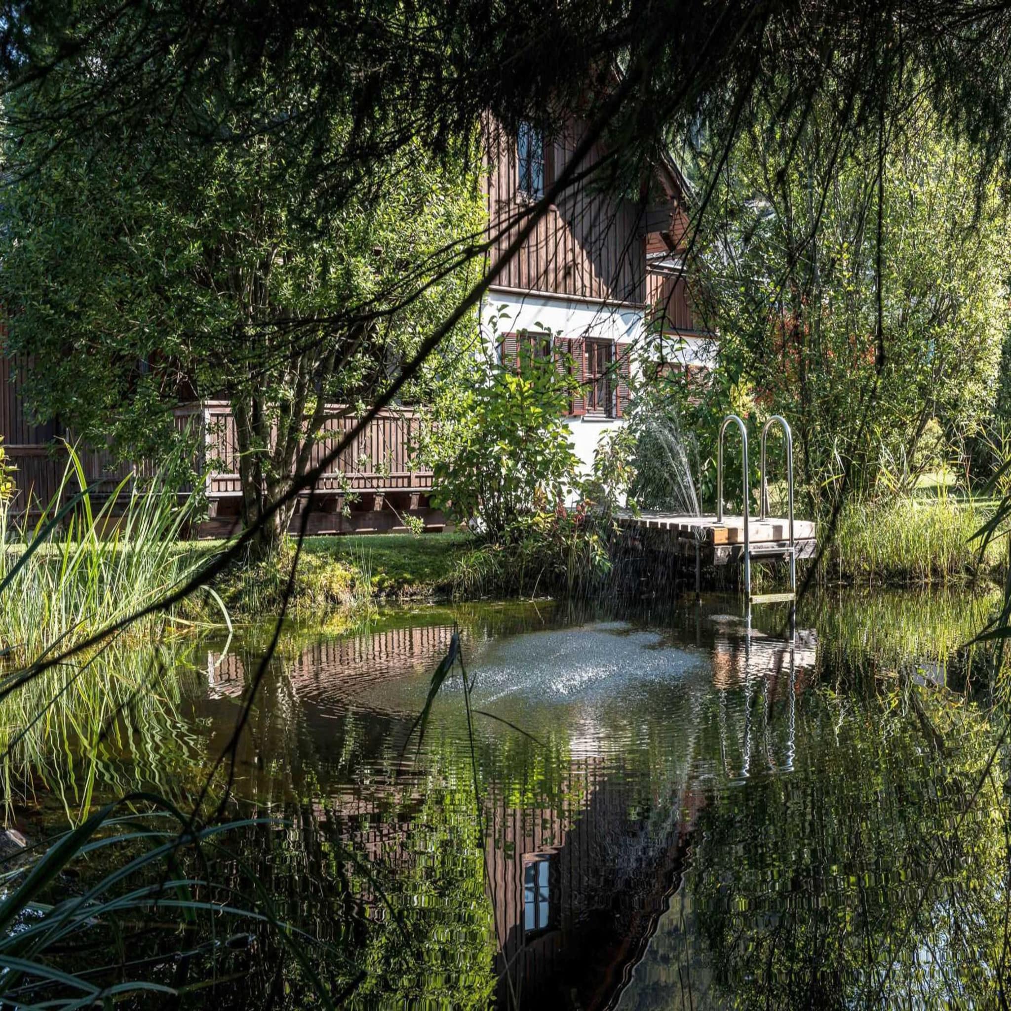 Blick über einen Badeteich mit viel Grün drumherum auf ein Haus. Ein Steg mit Leiter führt ins Wasser. 