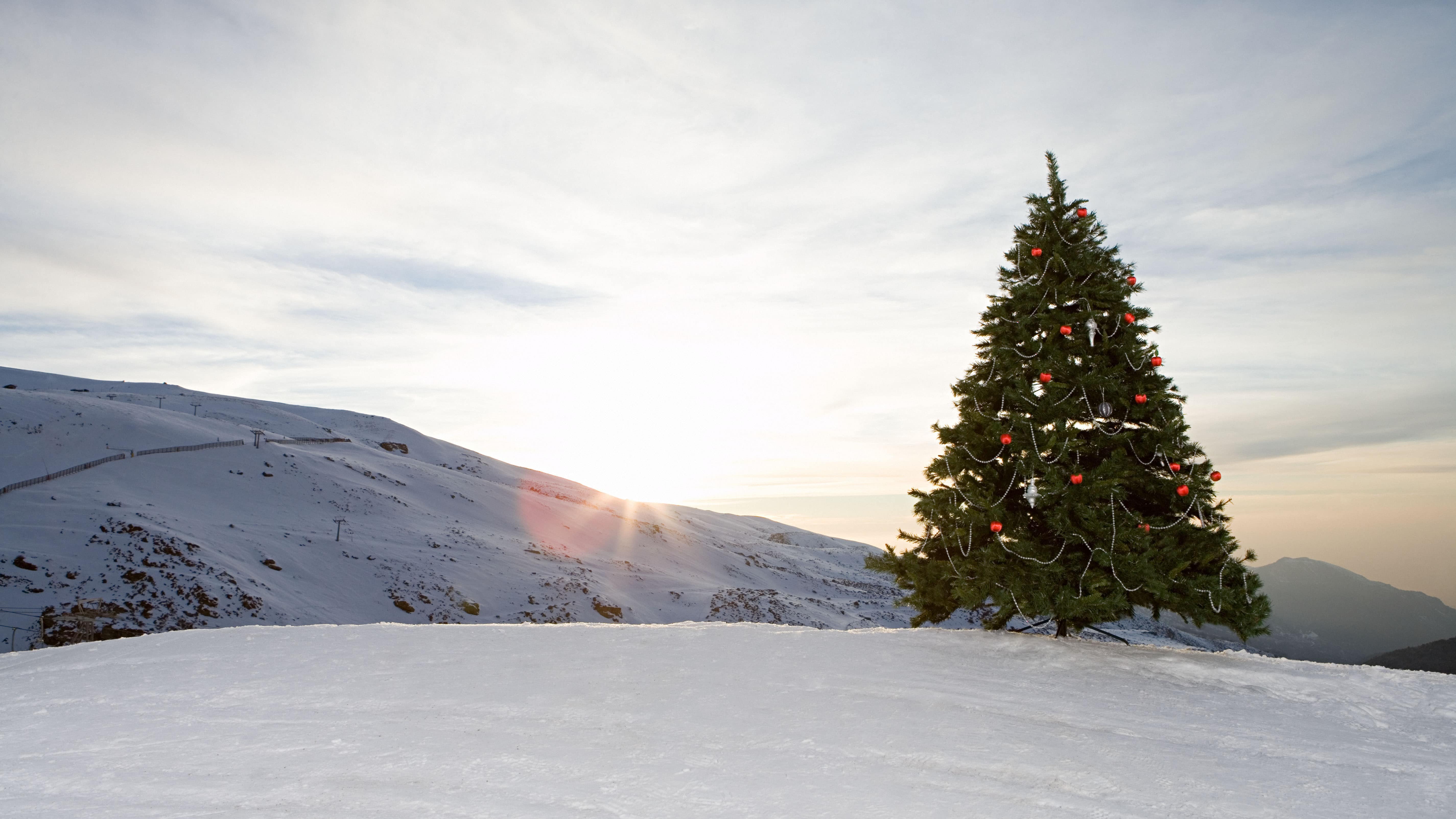 Enjoy the holidays with Christmas vacation
