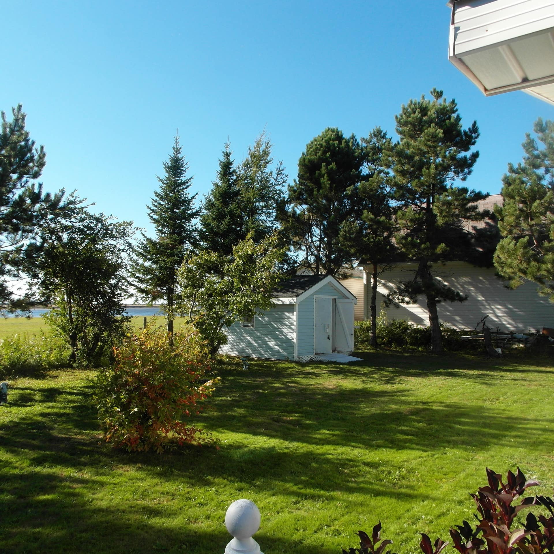 View of the beach in the distance from the back lawn of a rental home with a shed in Summerside