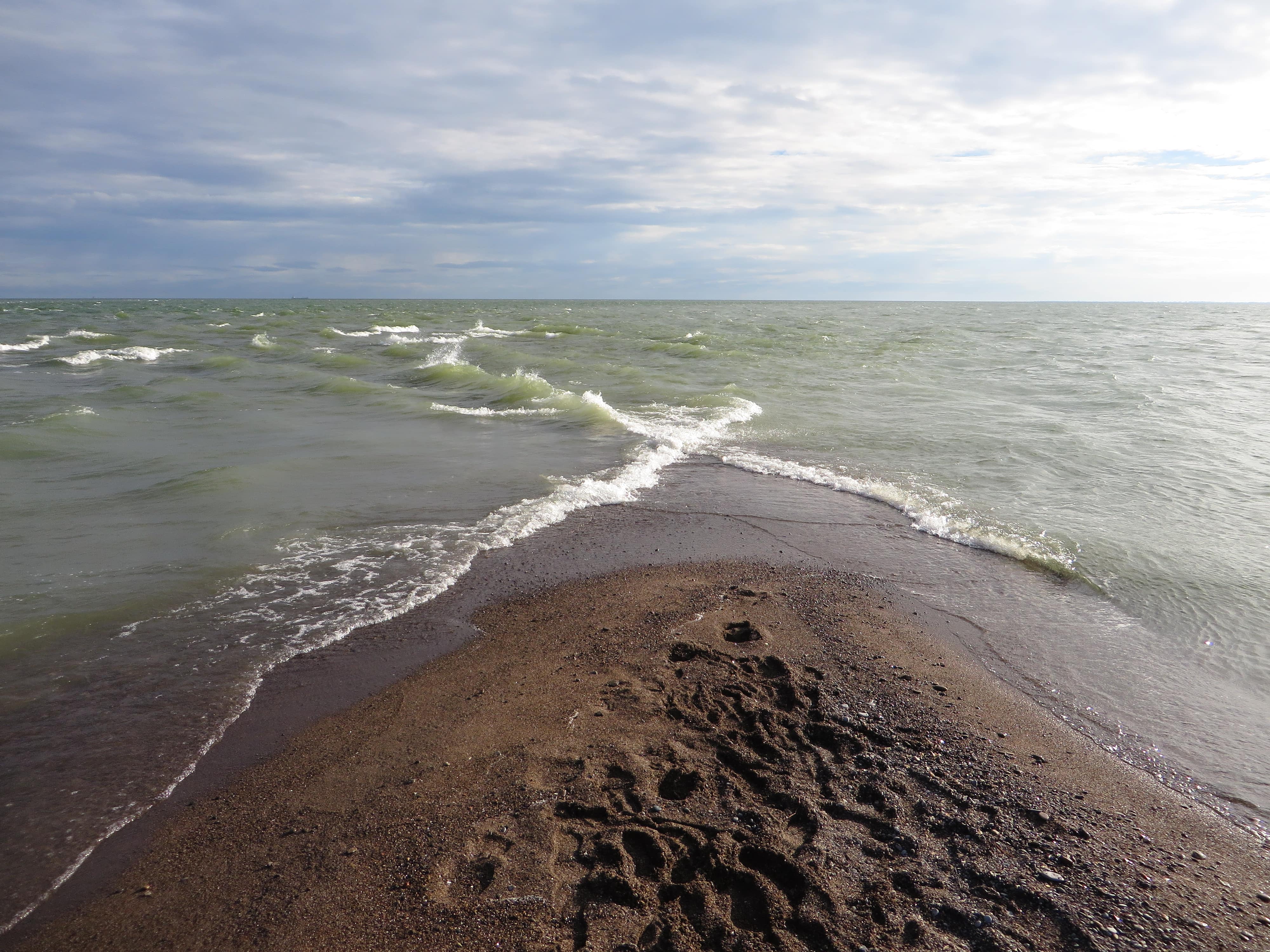 top 5 national parks of ontario - Point Pelee National Park 5 - Photo by Ken Lund