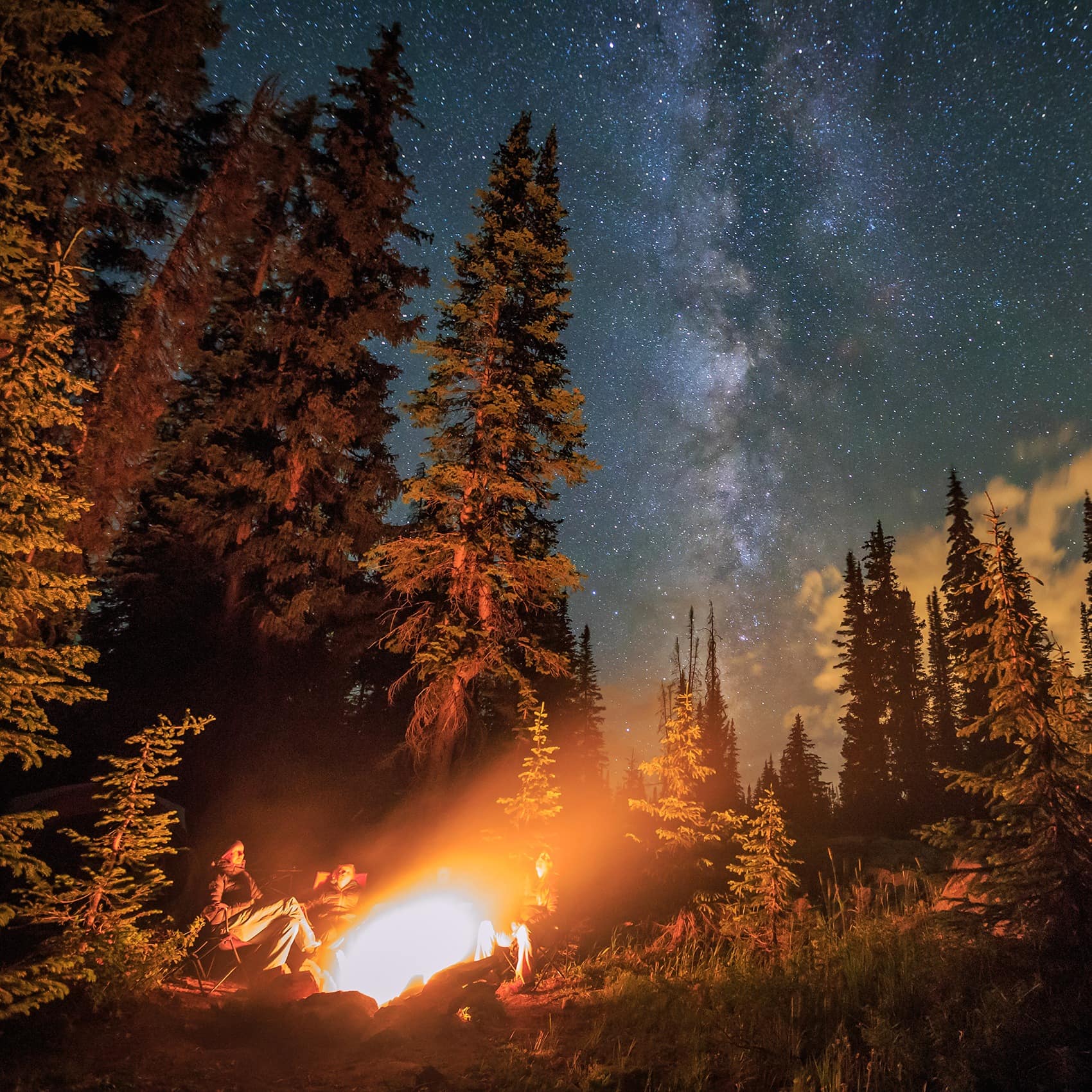 Campers nestled between tall pines while stargazing.
