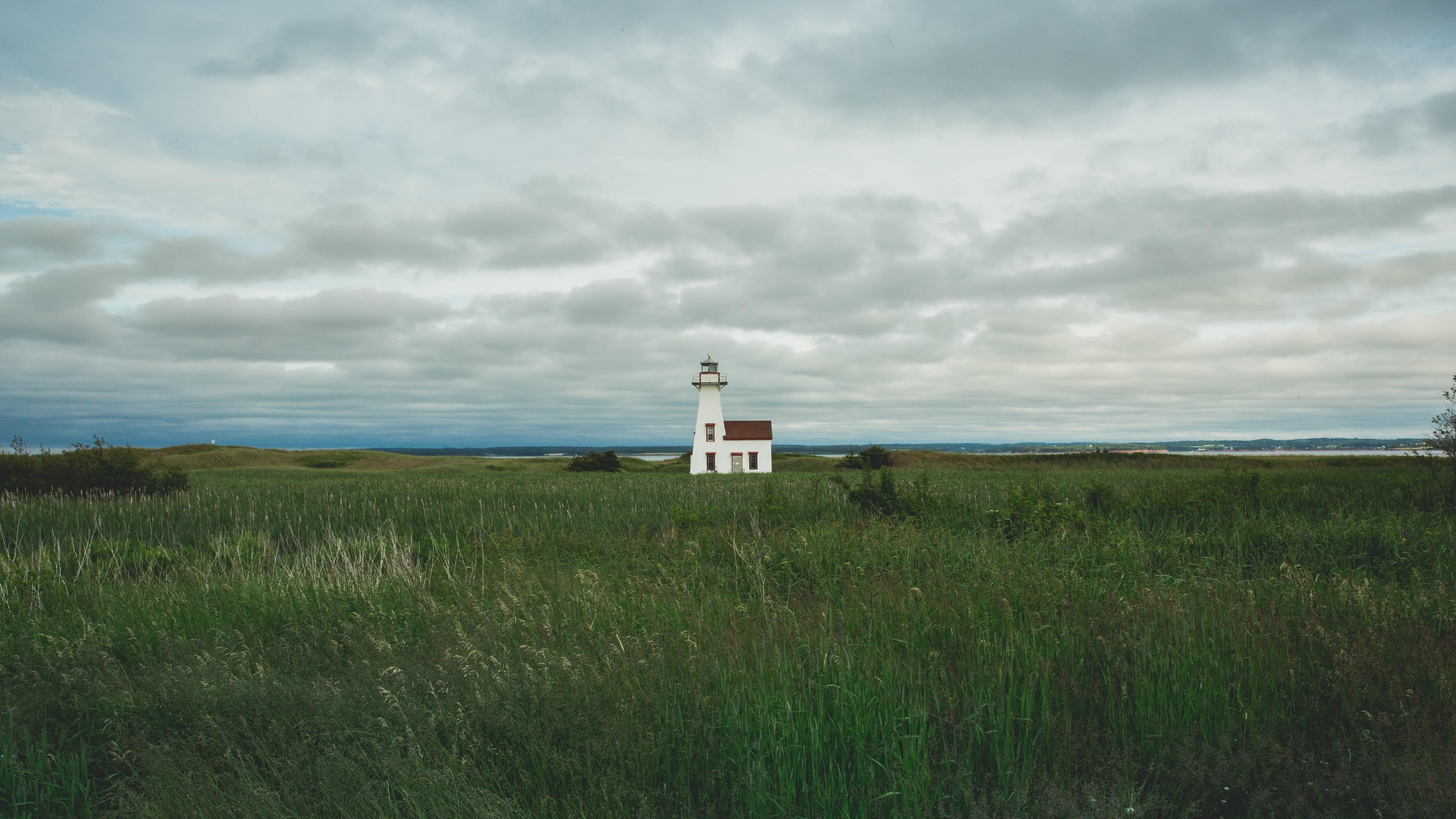 Find the best cabin rentals in Prince Edward Island to explore the pastoral landscape