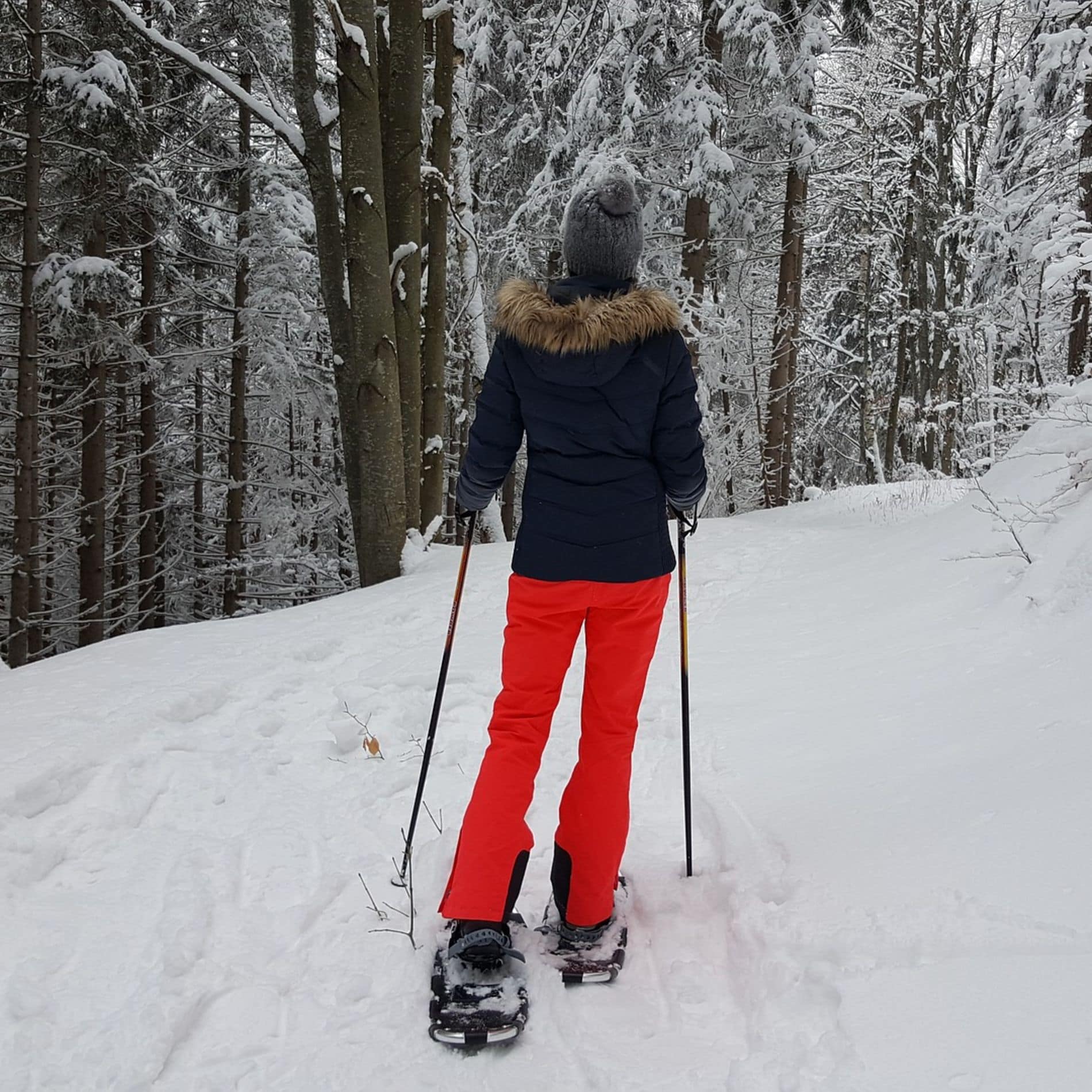Mont Tremblant snowshoeing trails