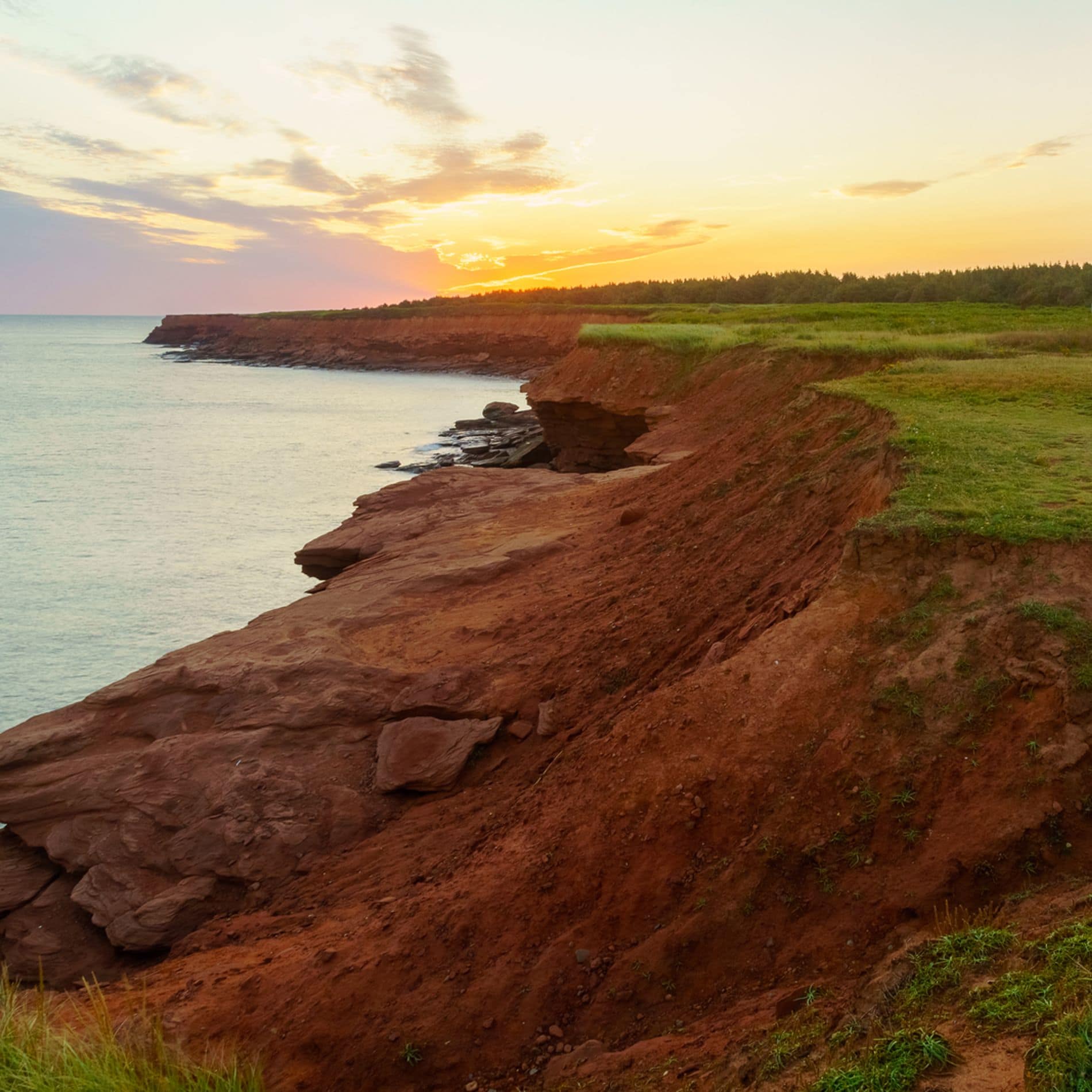 cavendish region in prince edward island