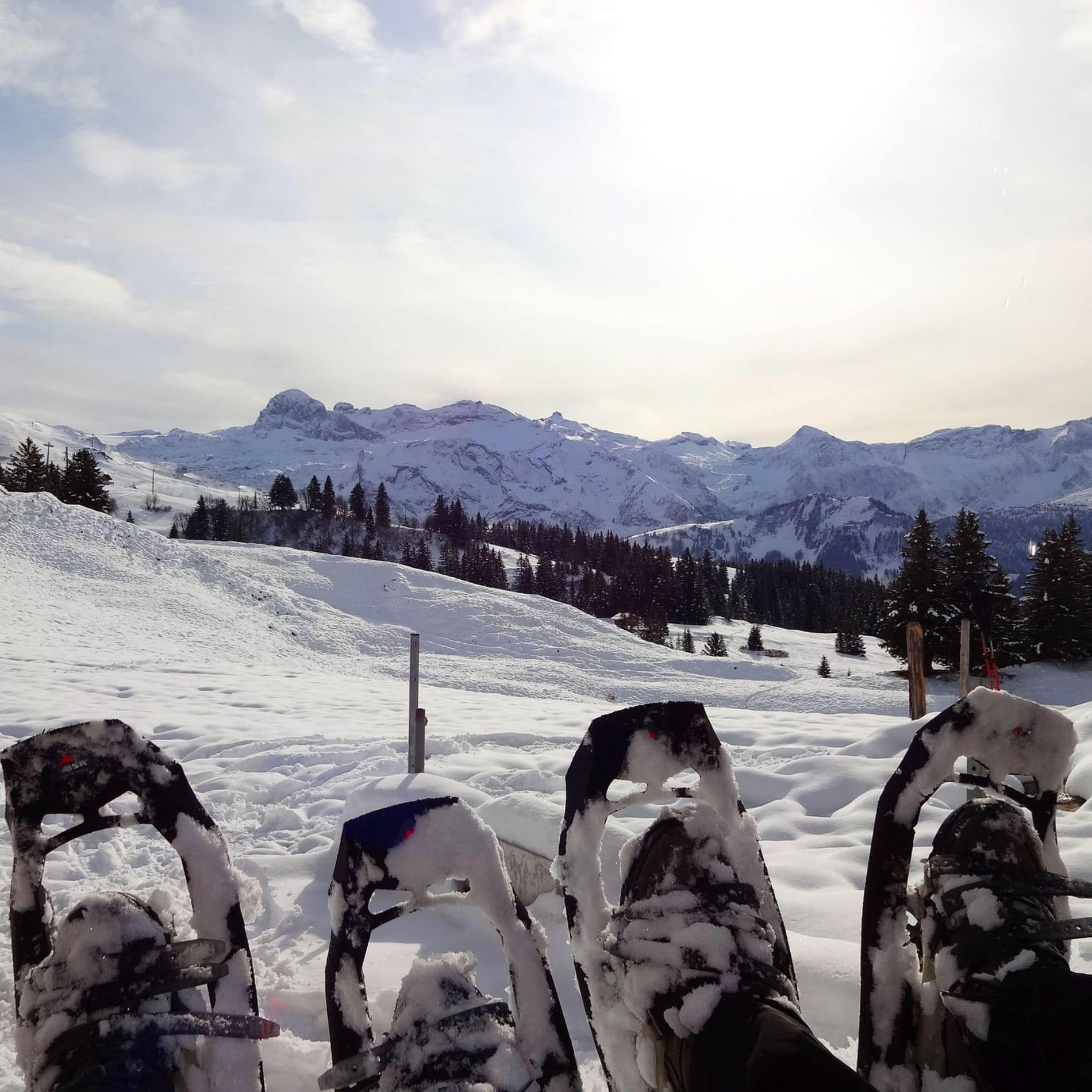 Where to go snowshoeing