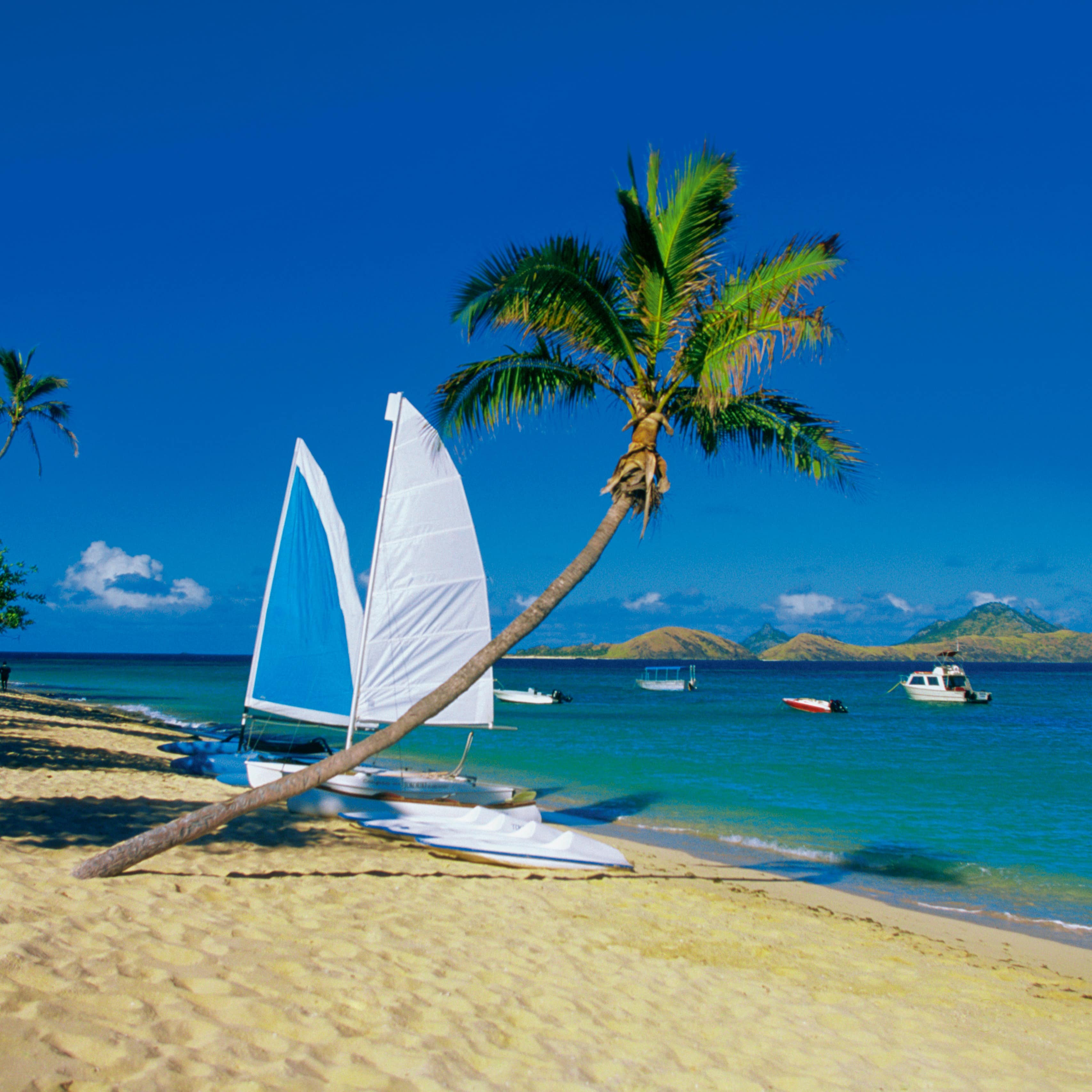 Sailboat and palm trees on the sandy shore overlooking the turquoise waters of Fiji