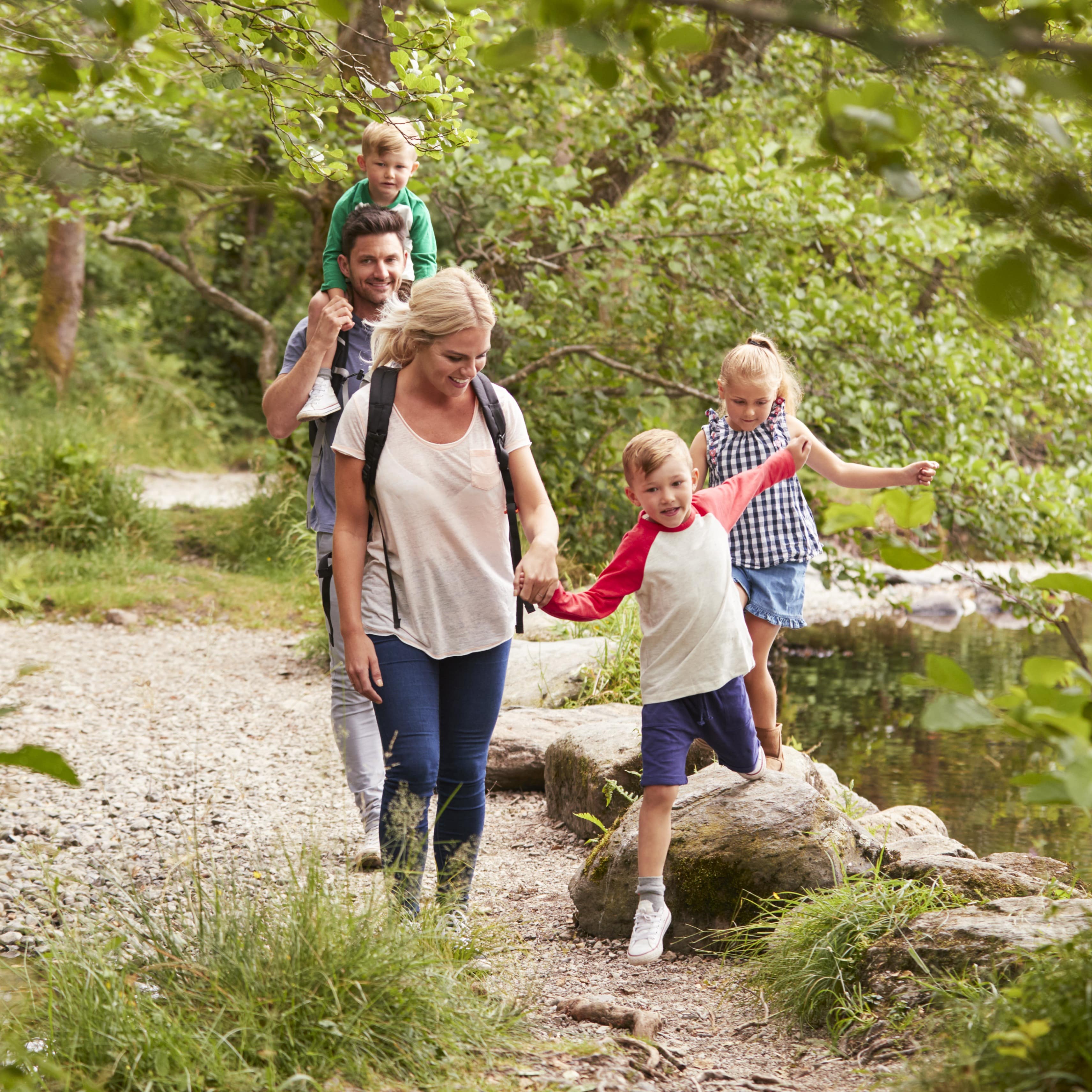 Family hiking in the forest