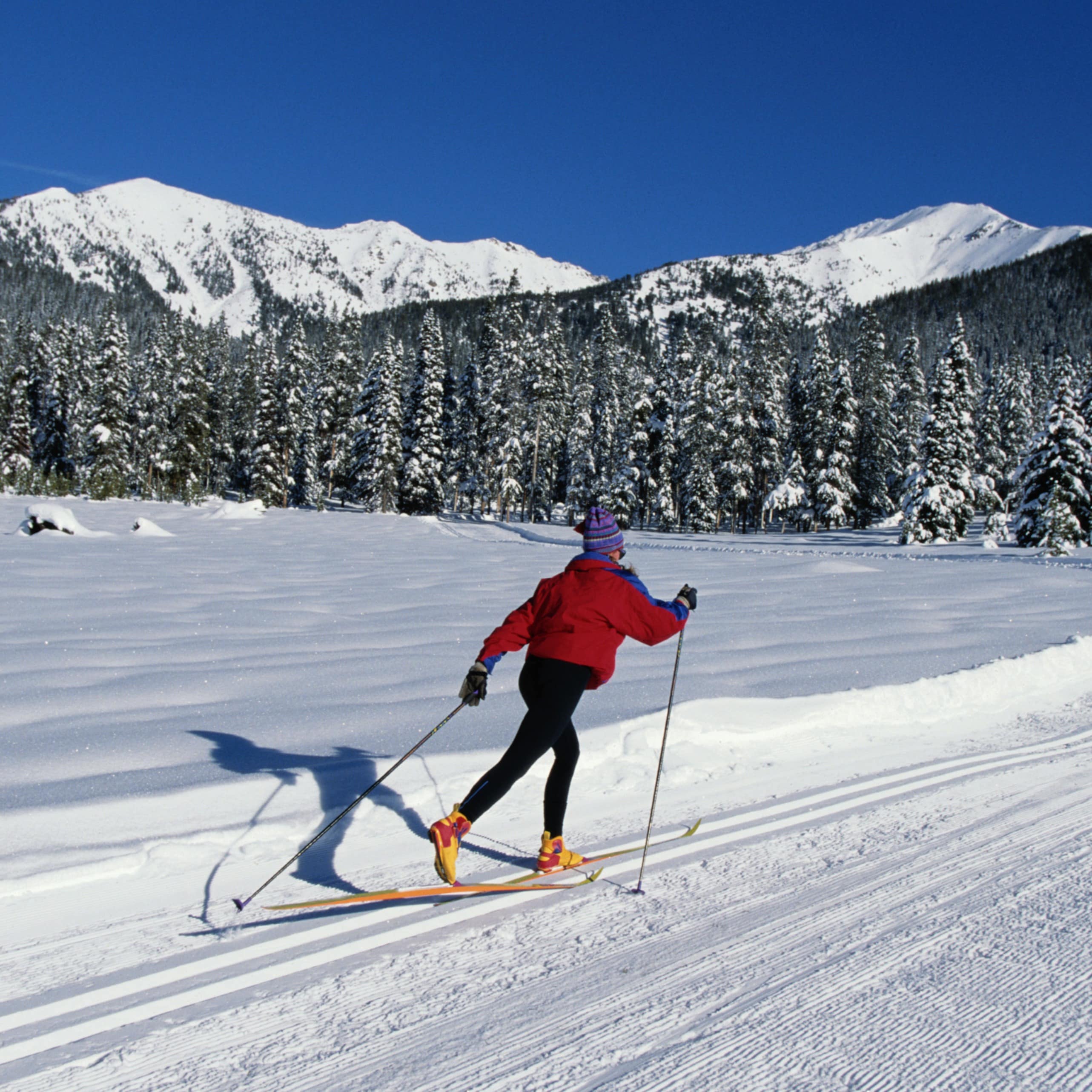 Cross-skiing with mountain views