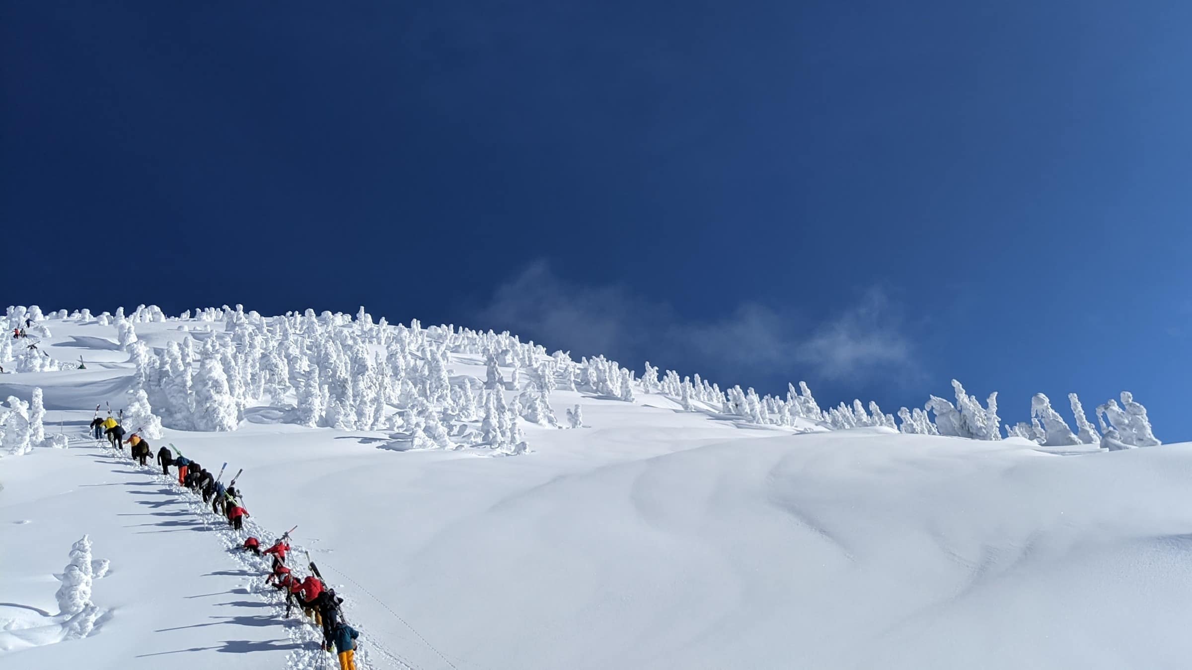 Enjoy a winter adventure with Revelstoke ski trips