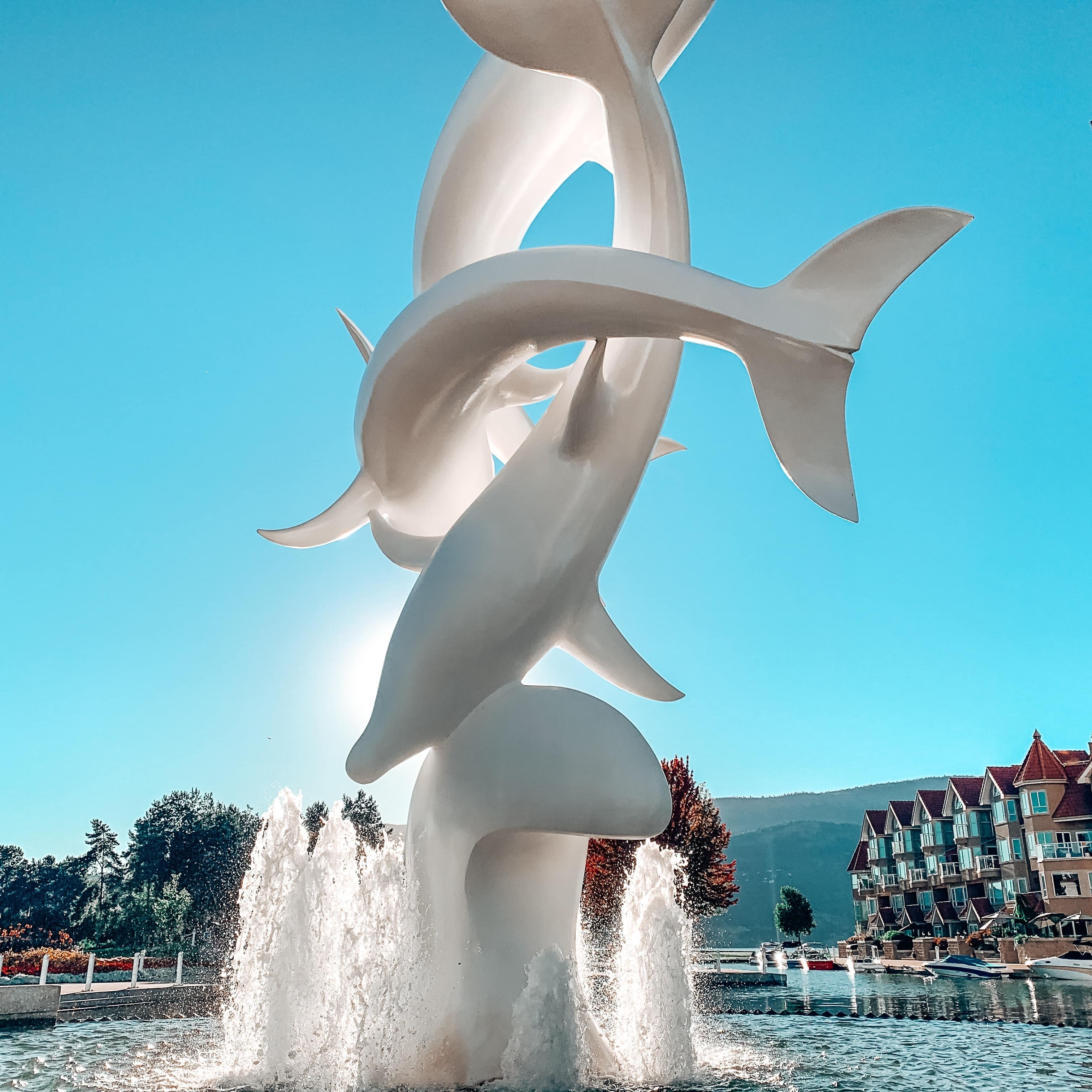 Intertwining white dolphin statue in the center of a fountain in downtown Kelowna