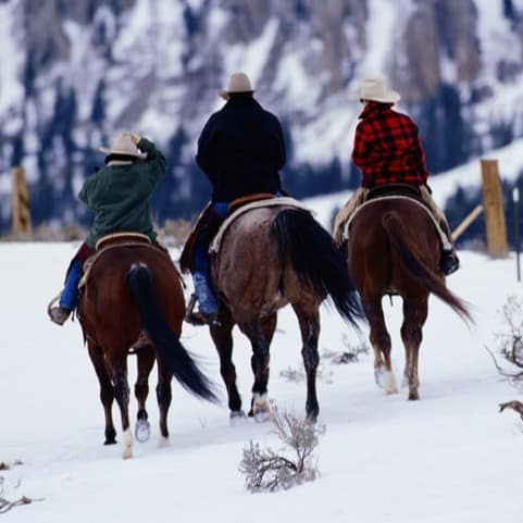 Family of 3 on horseback in the snow