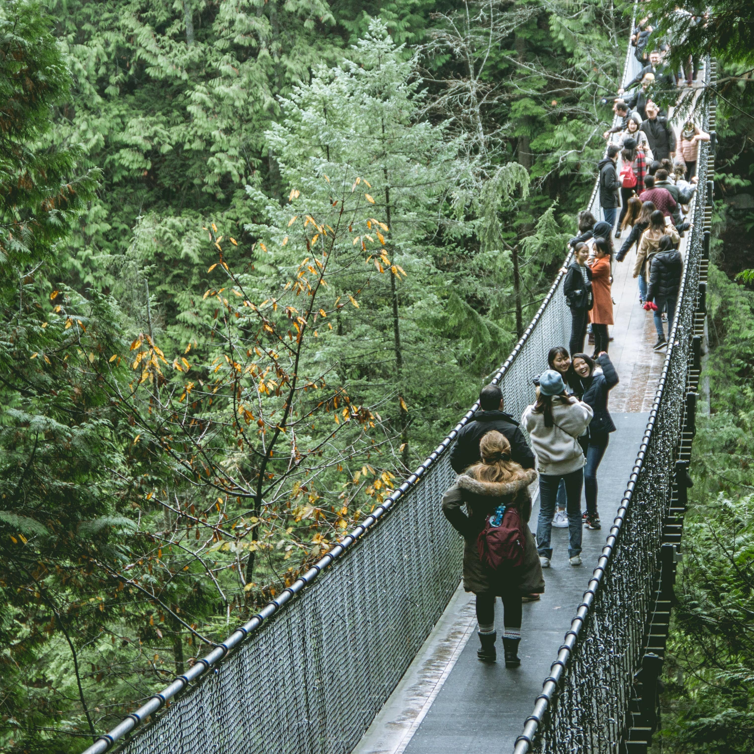 People walking along the Capilano Suspension Bridge among the canopy