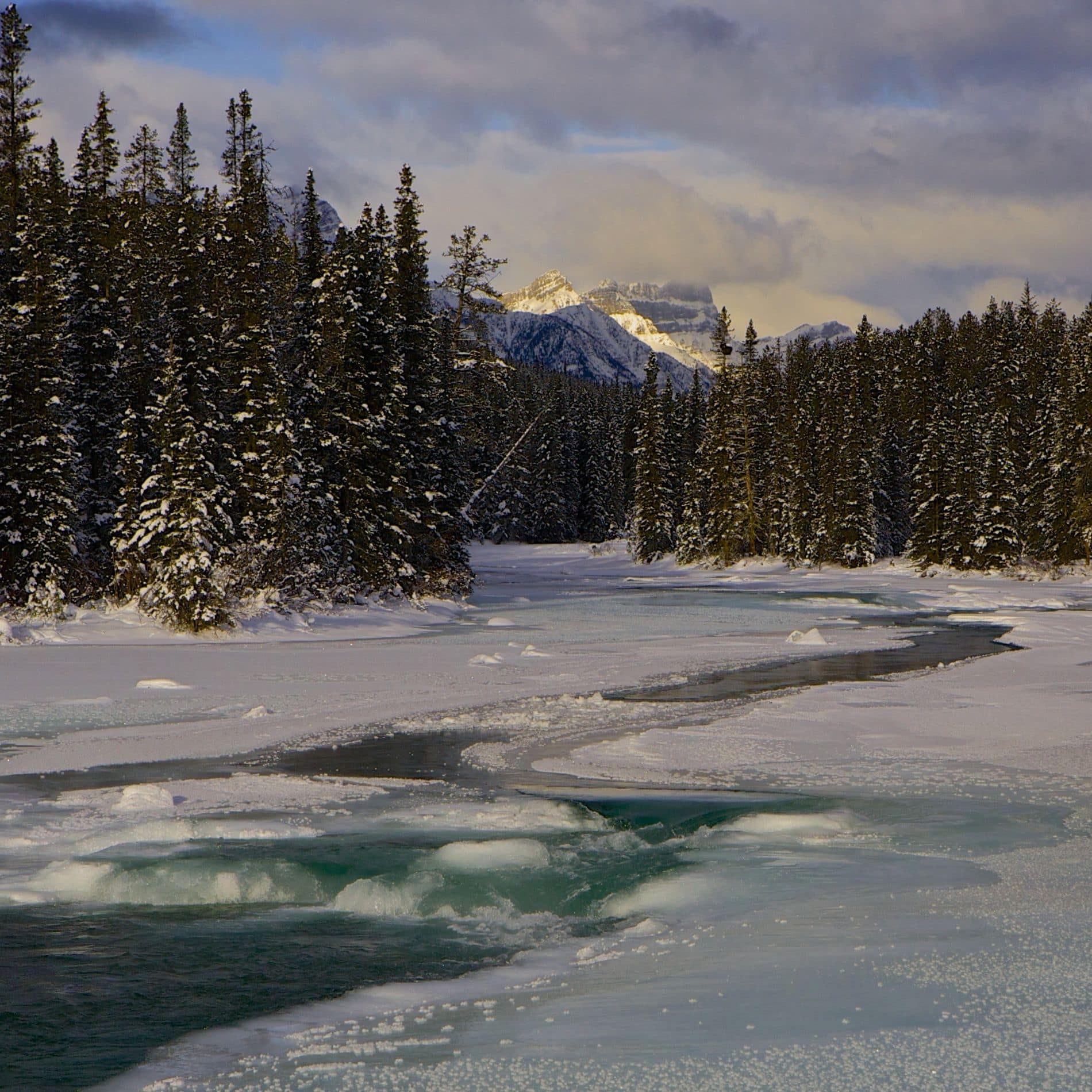 Lake Louise snowshoe trails