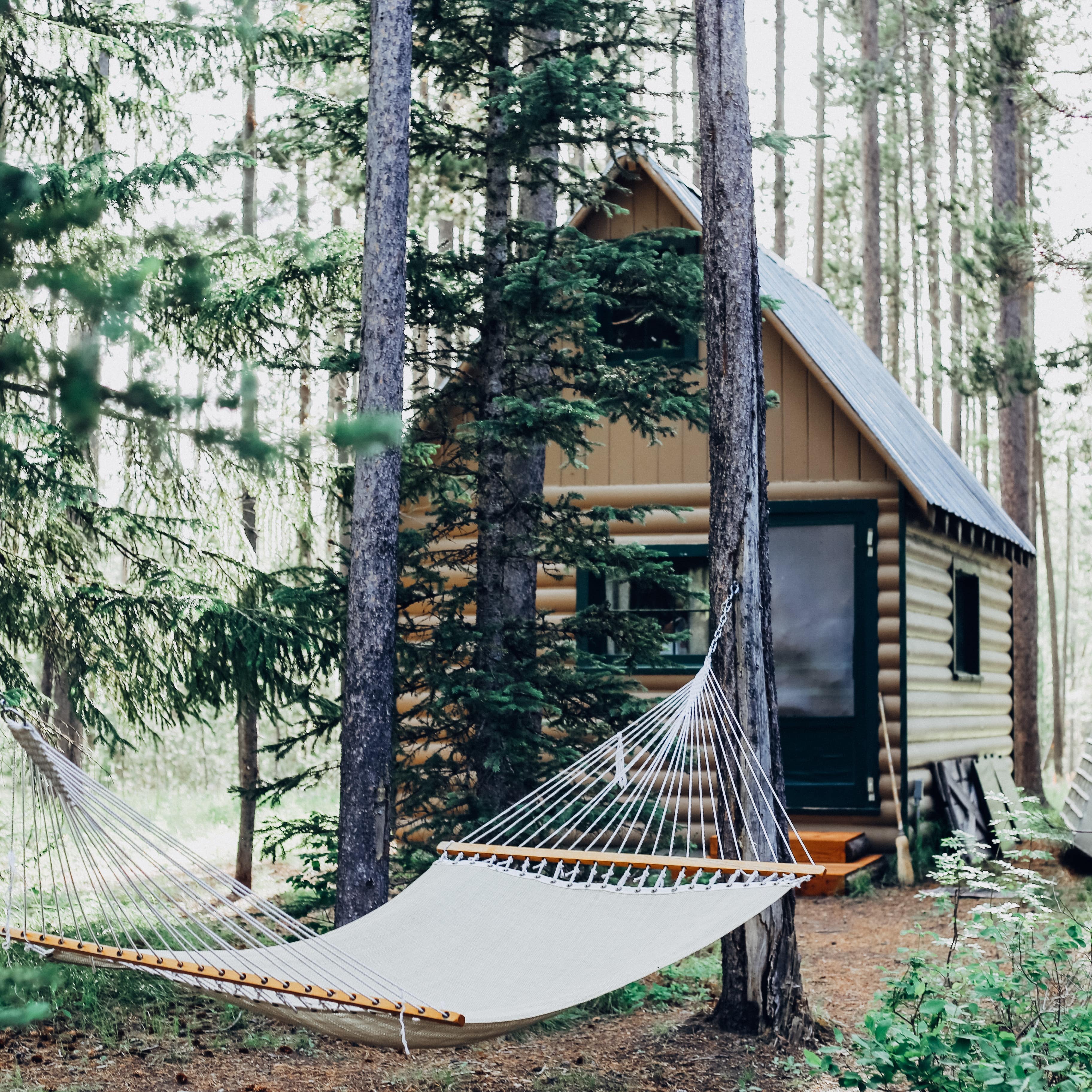 Hammock in the woods outside of tiny house