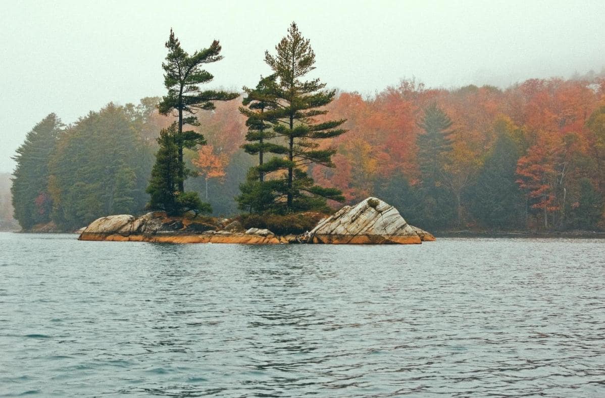 top 10 trails in ontario - spruce-trees-Ontario - HomeAway
