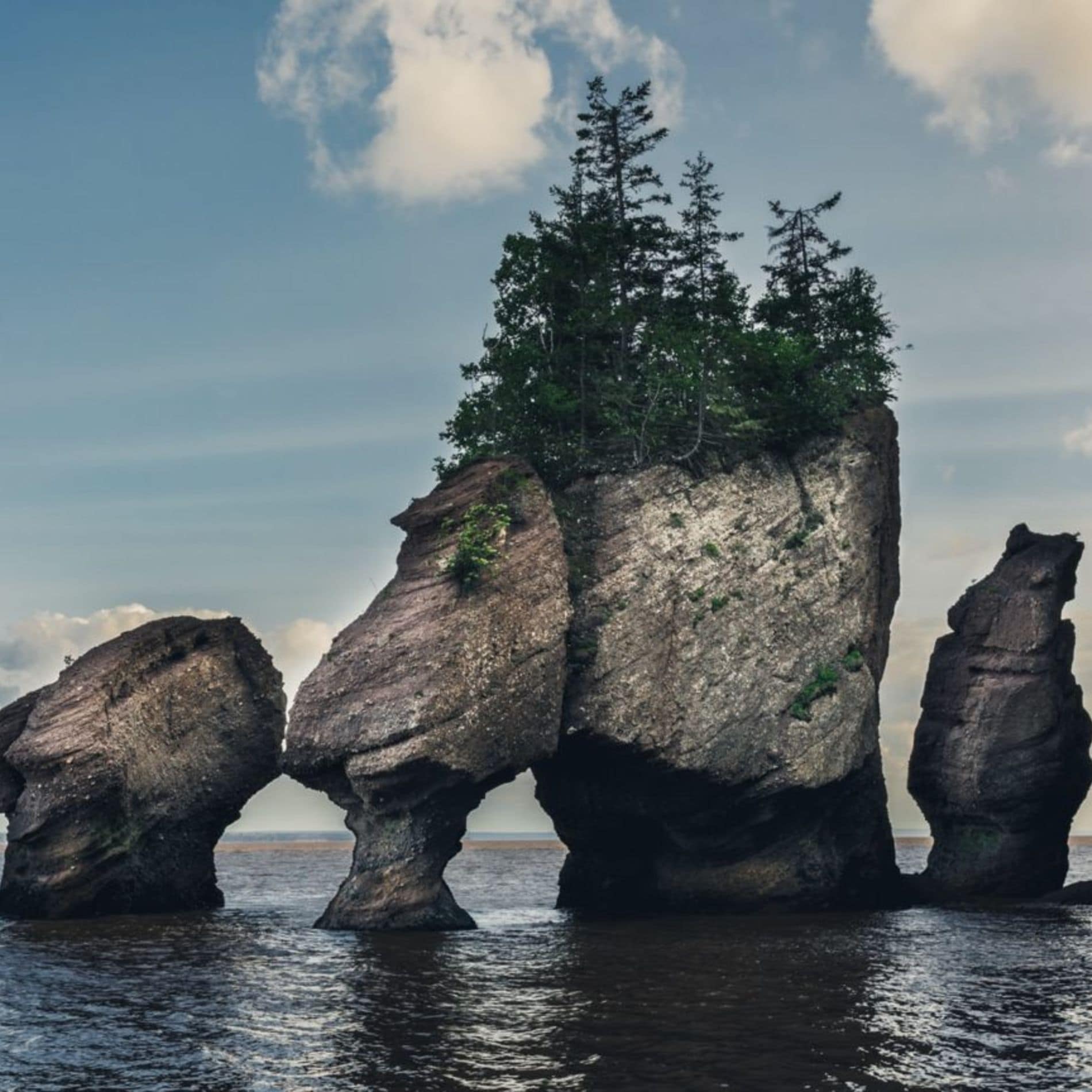 bay of fundy region in new brunswick