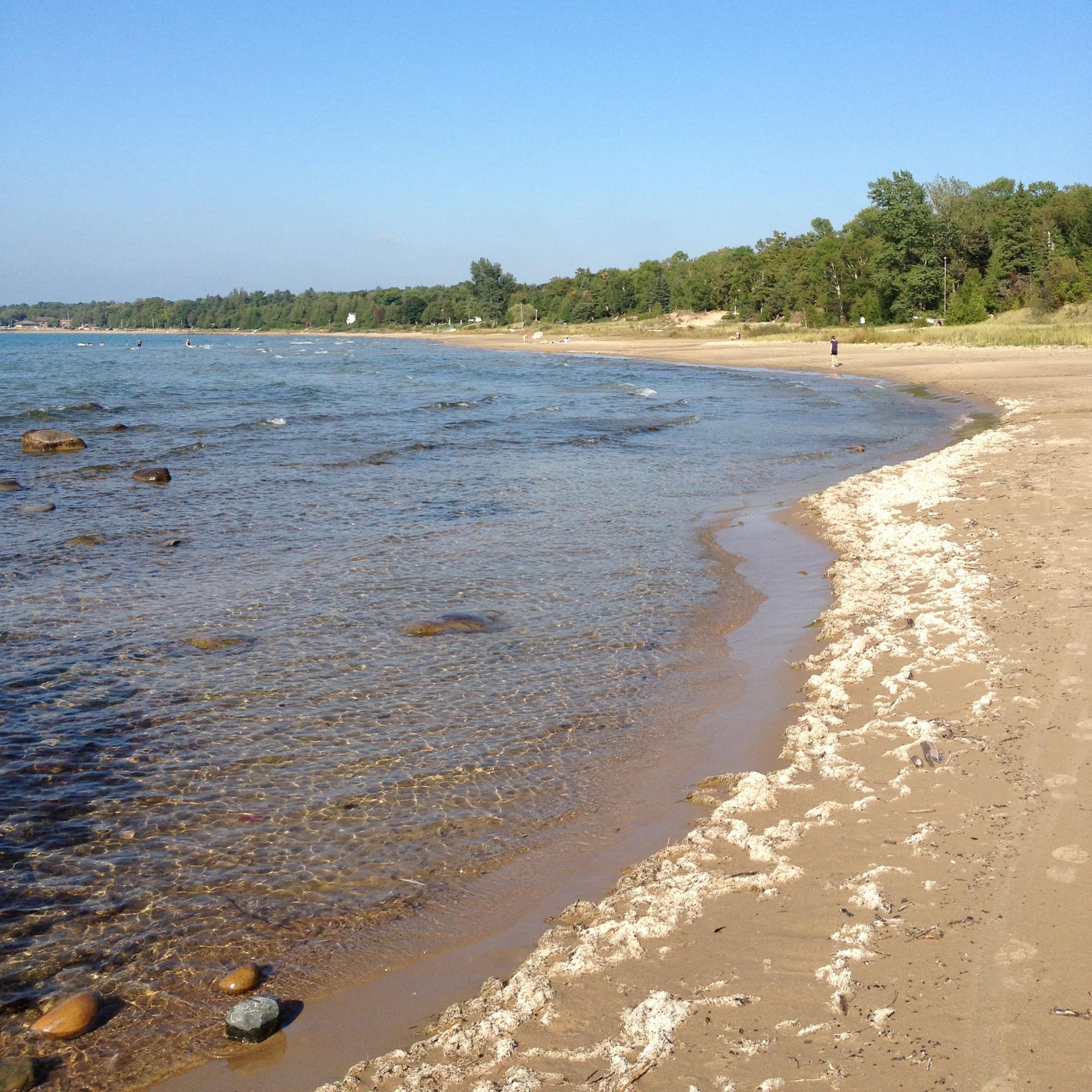 Sandy shoreline of Sauble Beach with the peninsula’s treeline