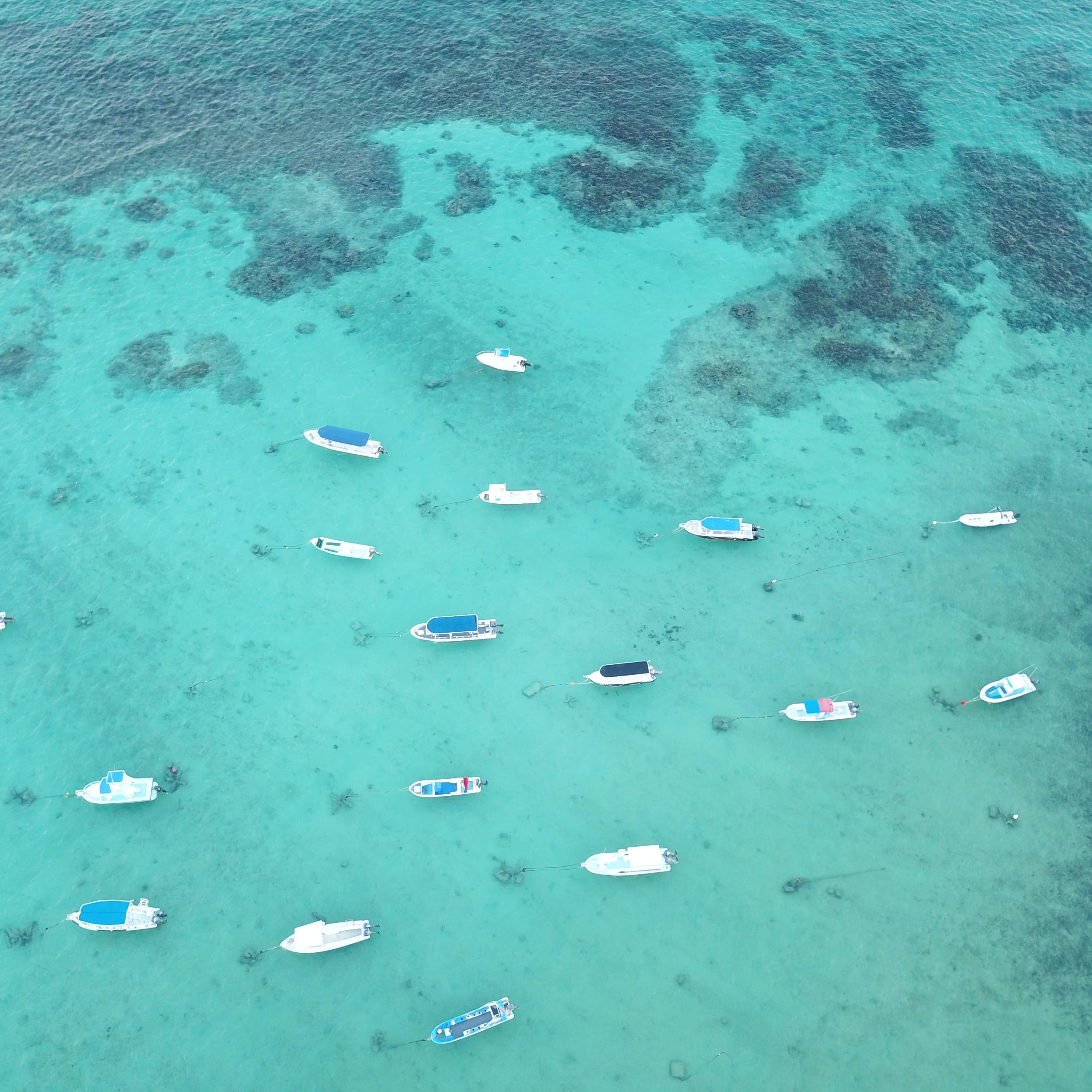 Aerial view of boats in the clear turquoise waters of Playa del Carmen