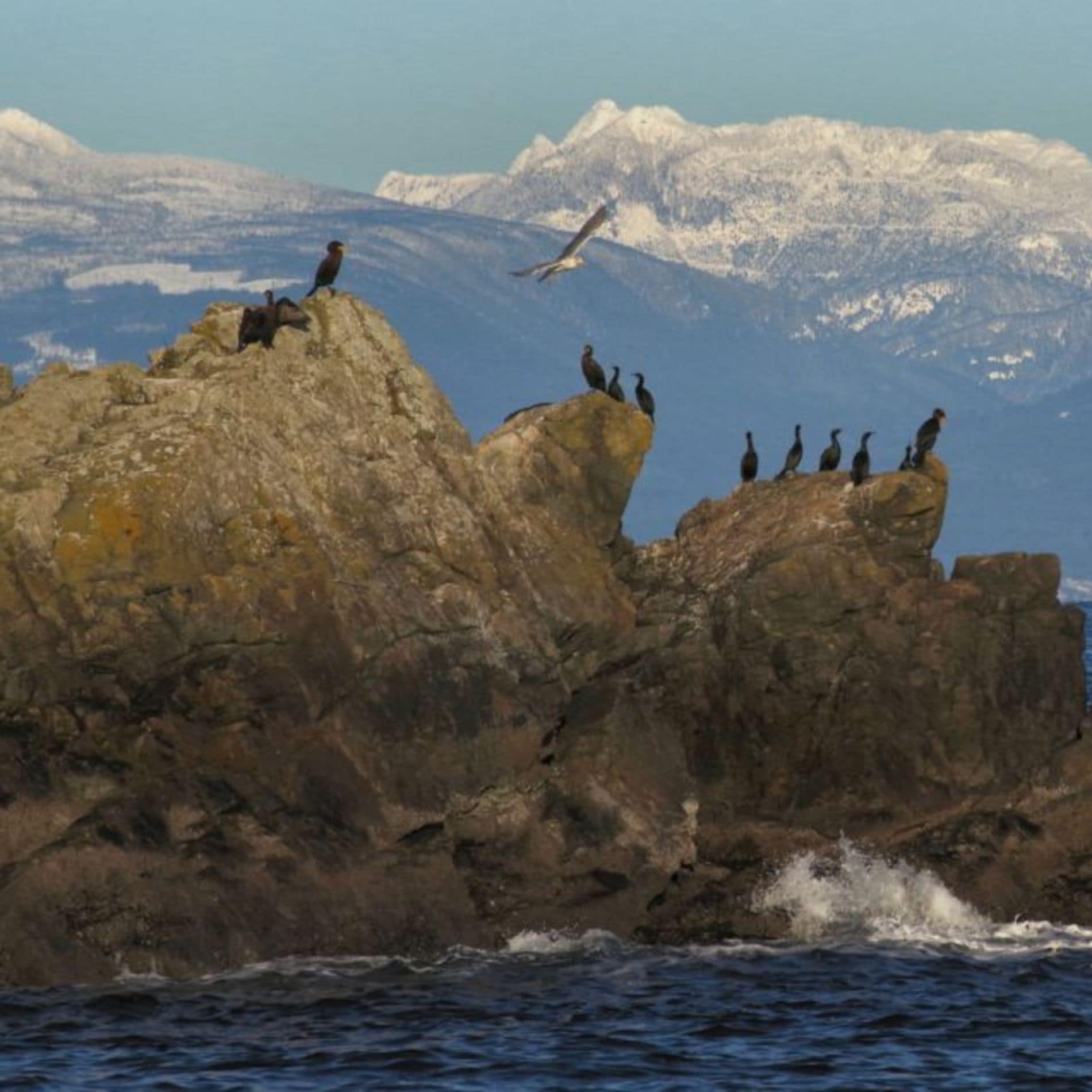 Things to do in Nanaimo this weekend