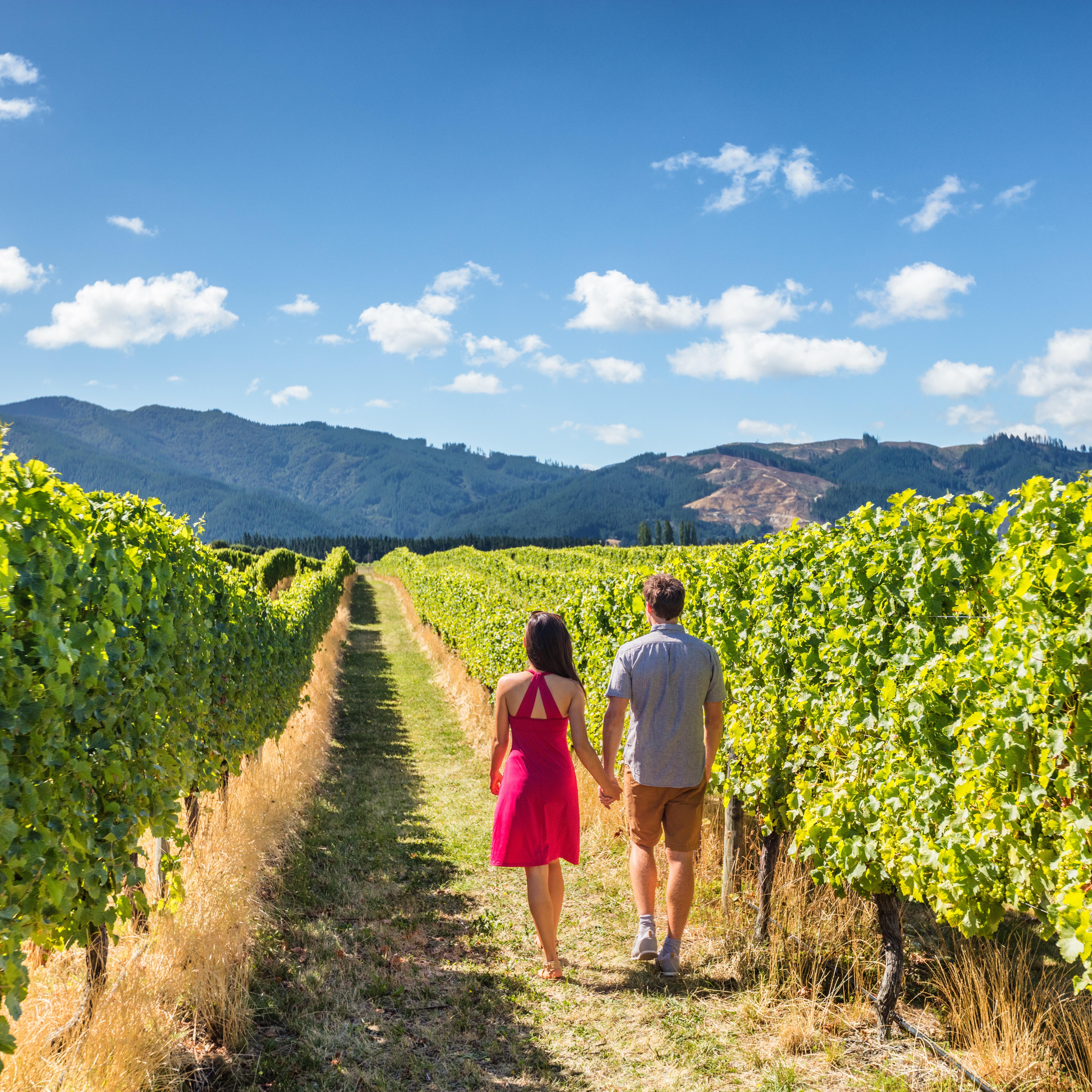 Couple walking through vineyard