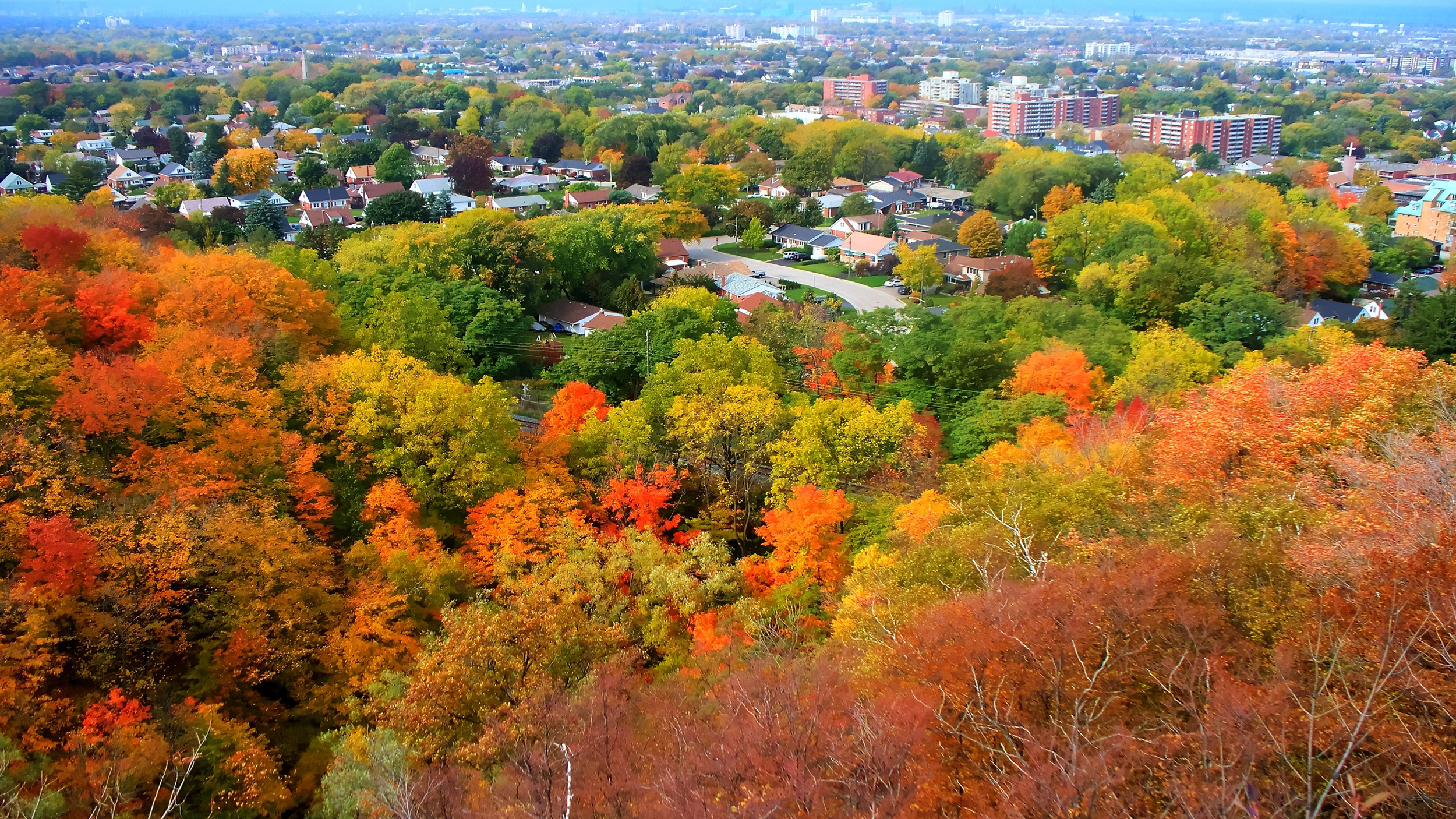 Ontario Fall Colours: Where And When To Spot Them