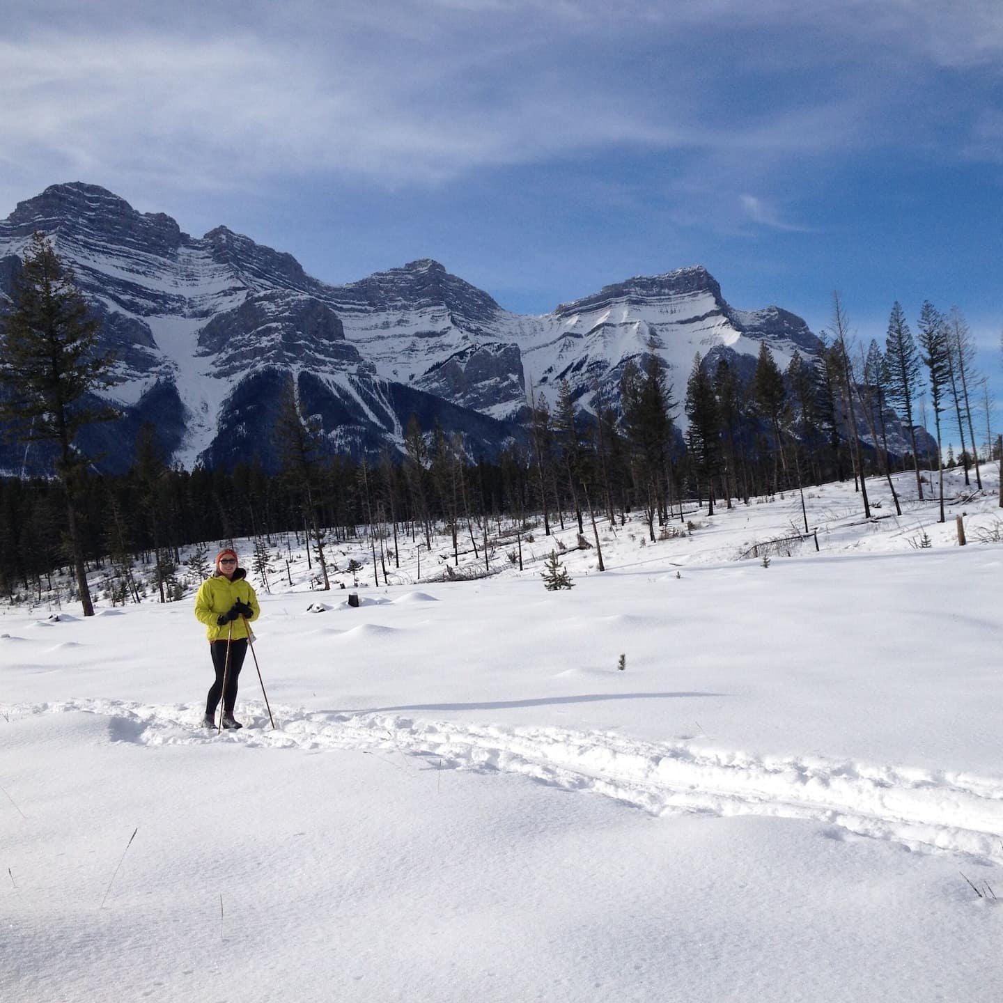 Skier pausing in a ski path near Nakiska Ski Resort
