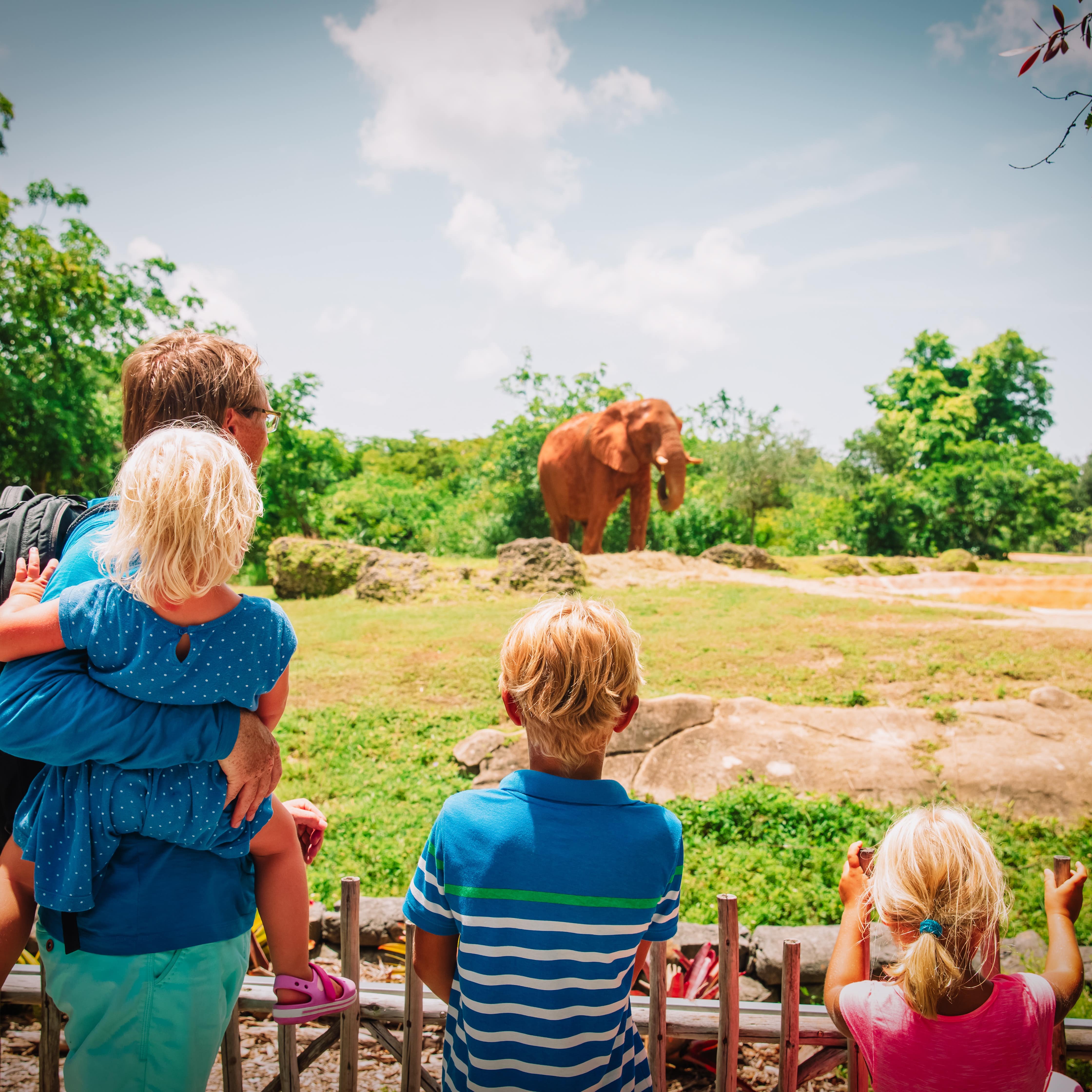 Dad and kids looking at elephant