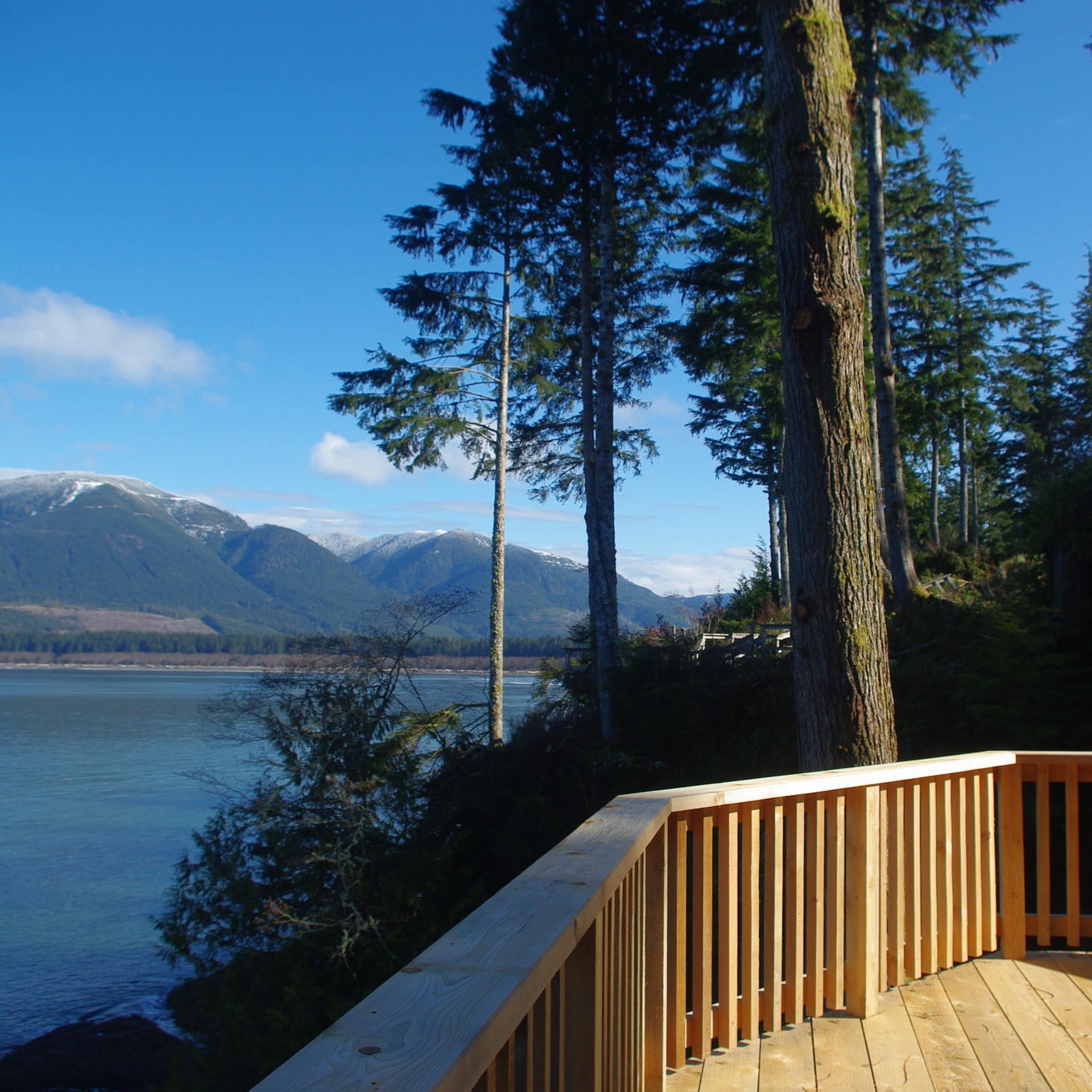 View of the forest and blue waters from the wooden back deck of a cabin on Vancouver Island