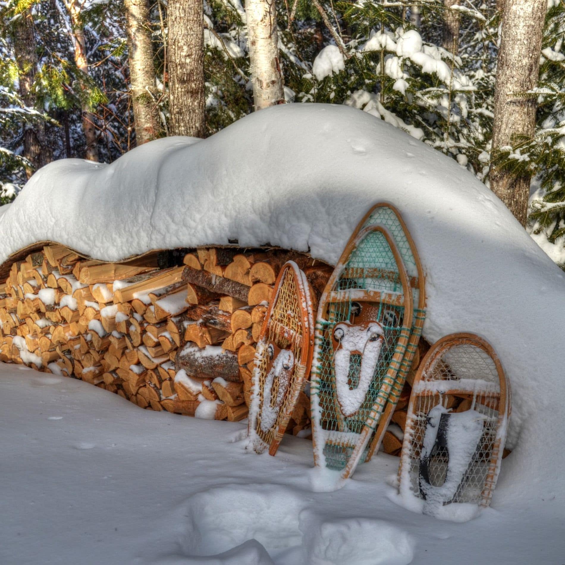 Great snowshoeing trails in Canada