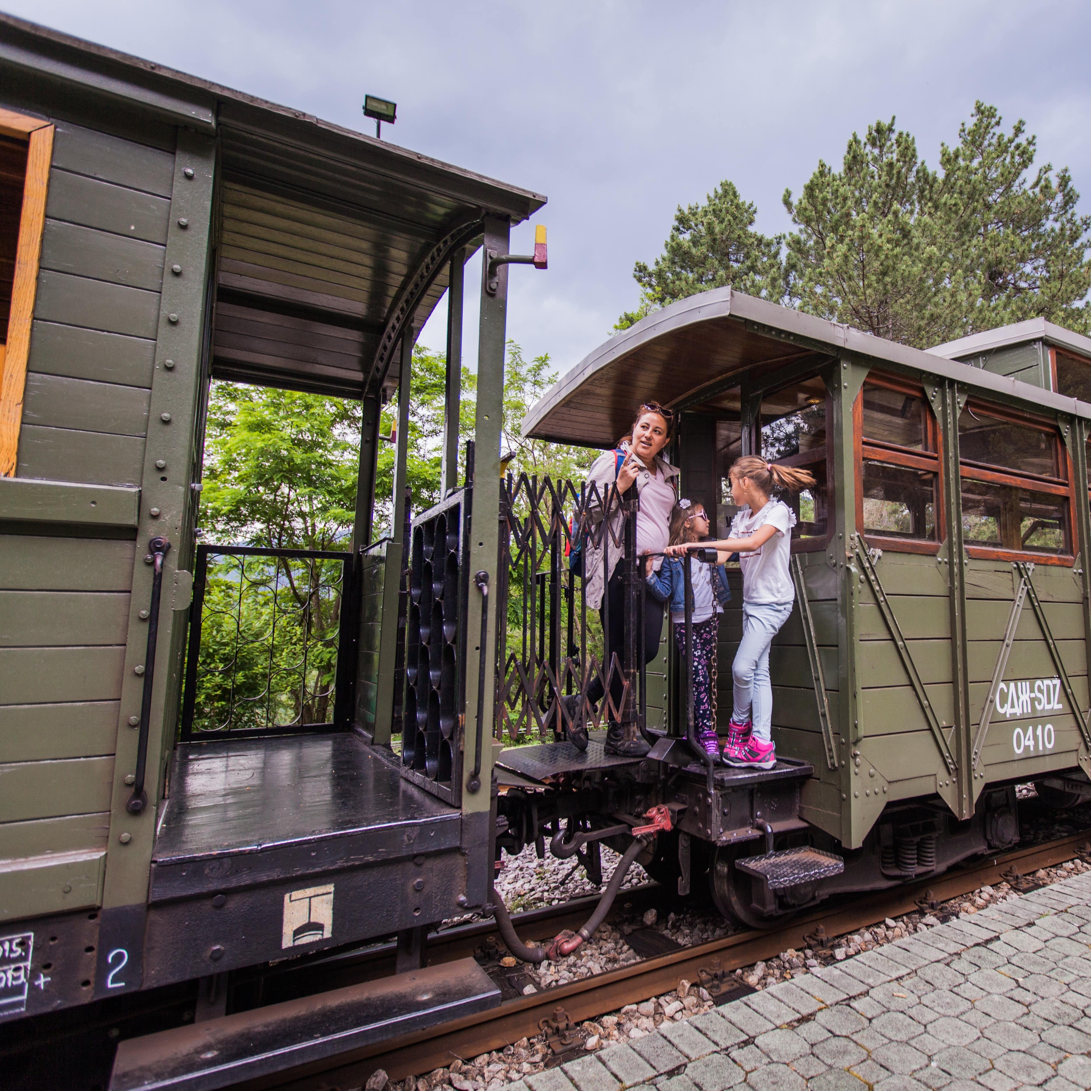 Mother and two children on train