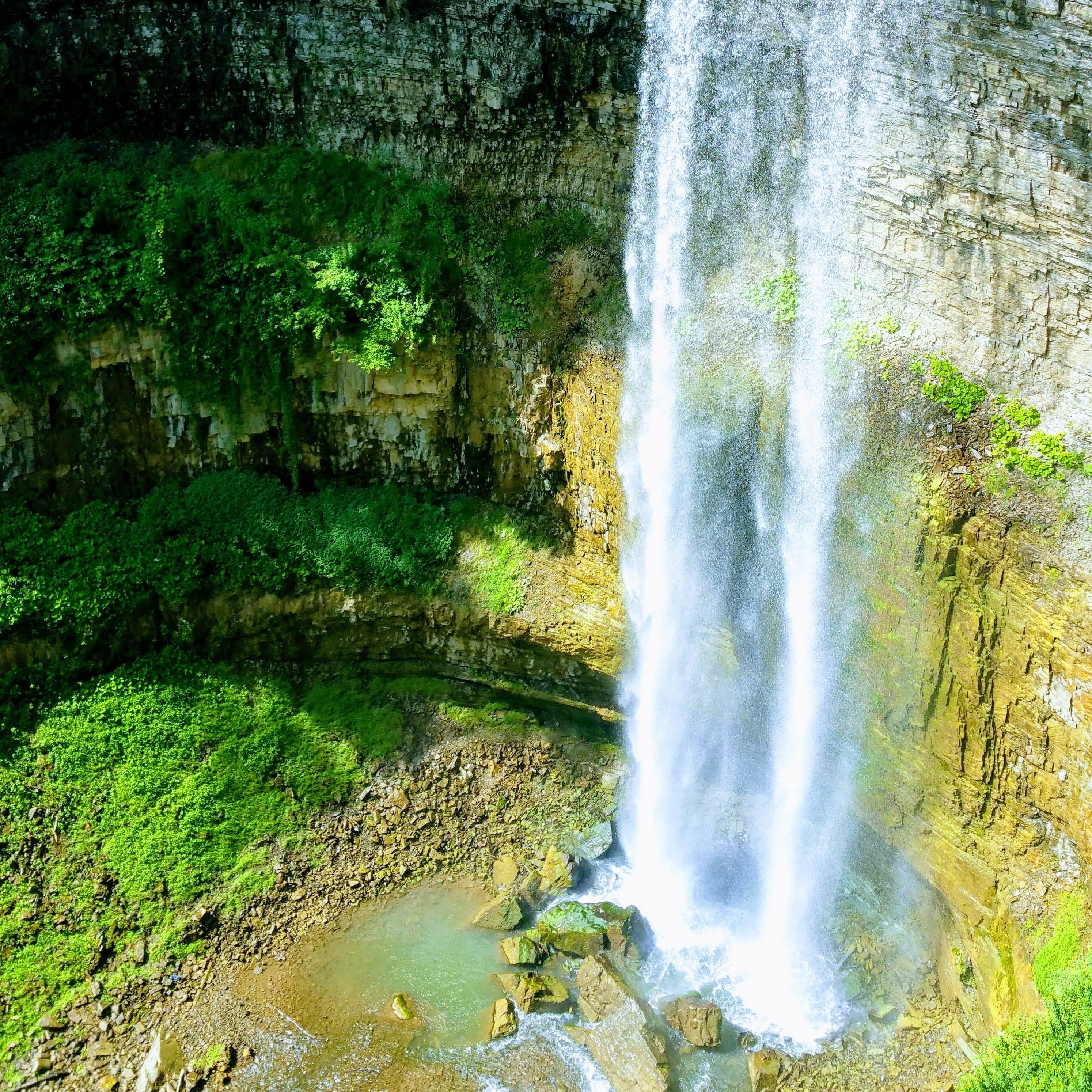Side view of a waterfall in Hamilton with green moss and plants growing along the rocks