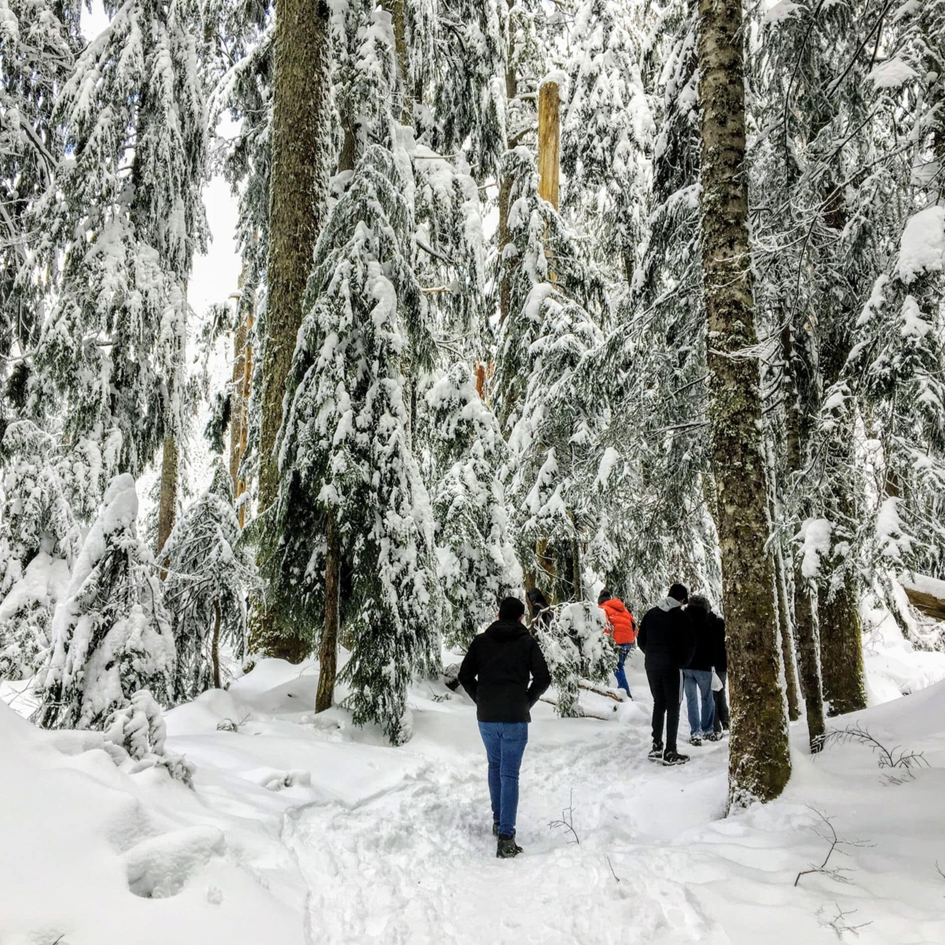 Places to snowshoe near me