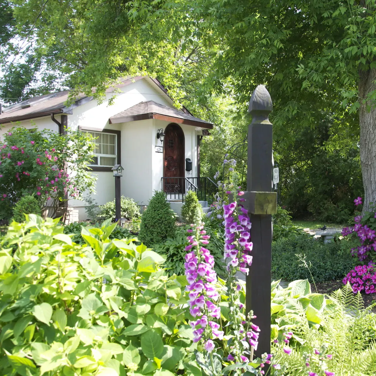 A small white cottage in Niagara-on-the-lake nestled between a blooming garden and tall trees