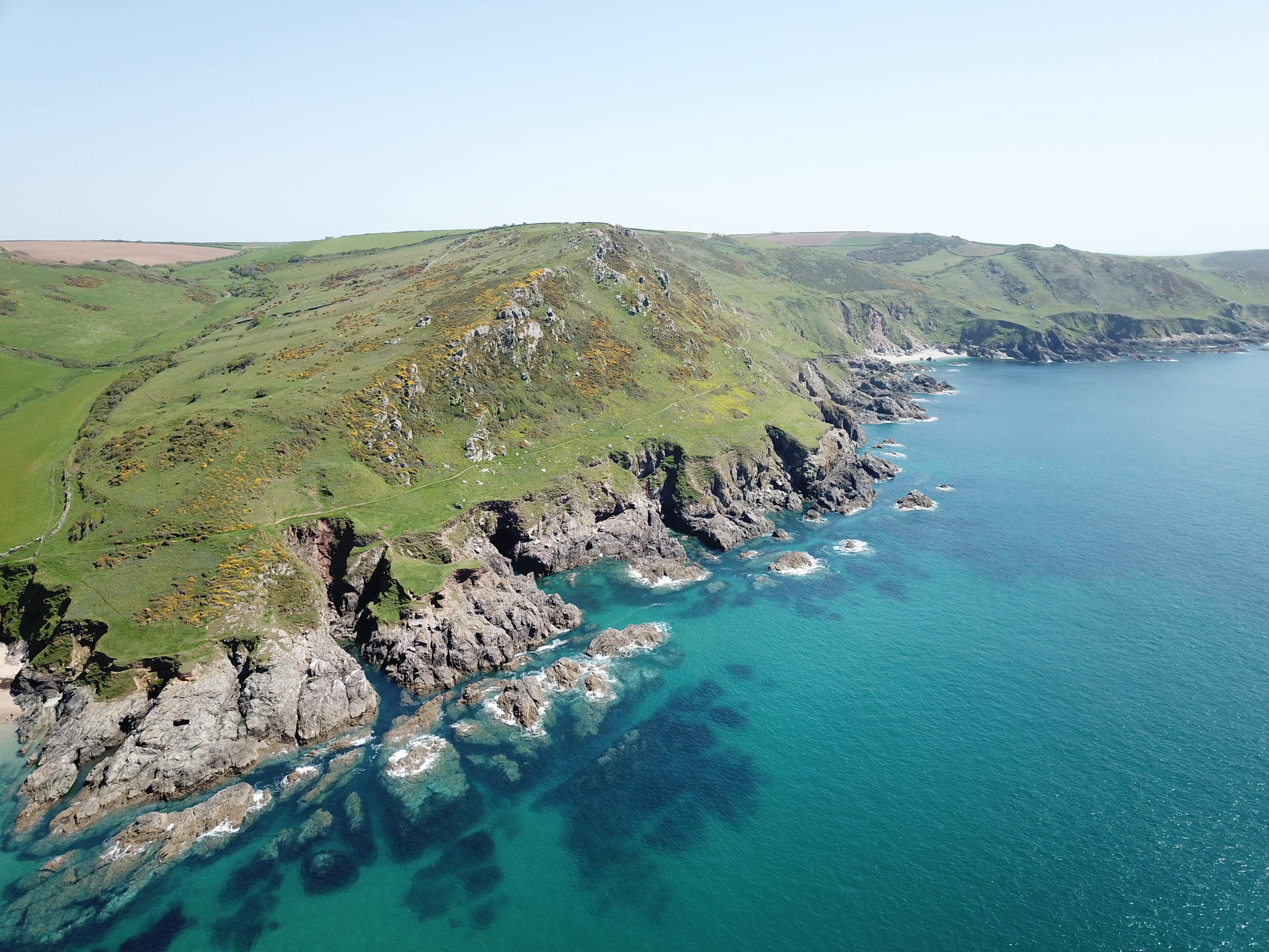 By the seas and moors with dog-friendly cottages in Devon