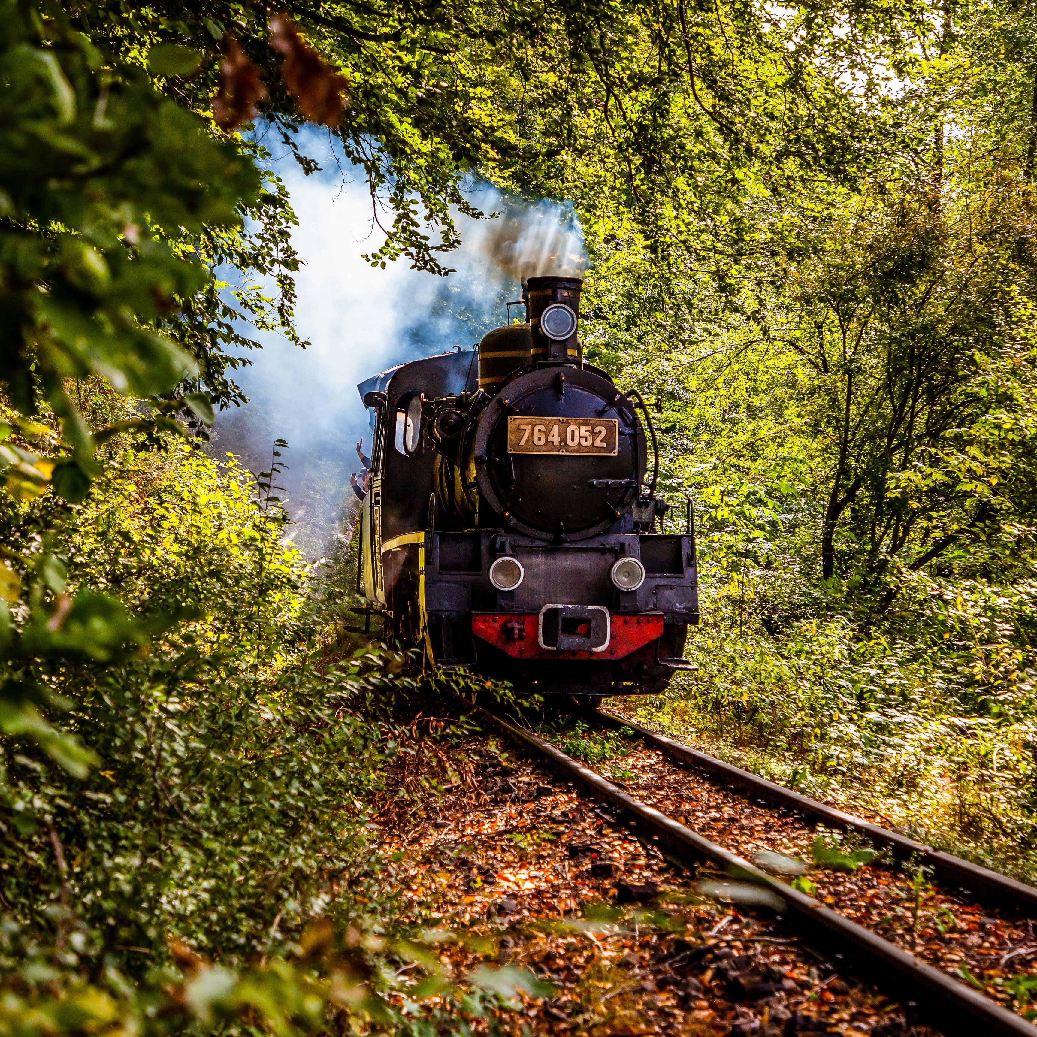 Steam train traveling through the forest