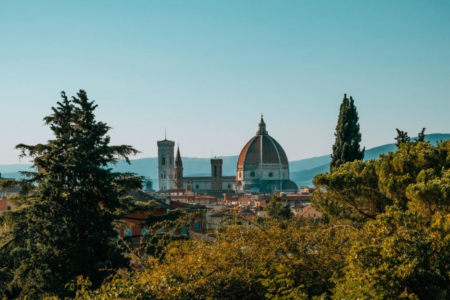 A sight of Florence Duomo through the trees