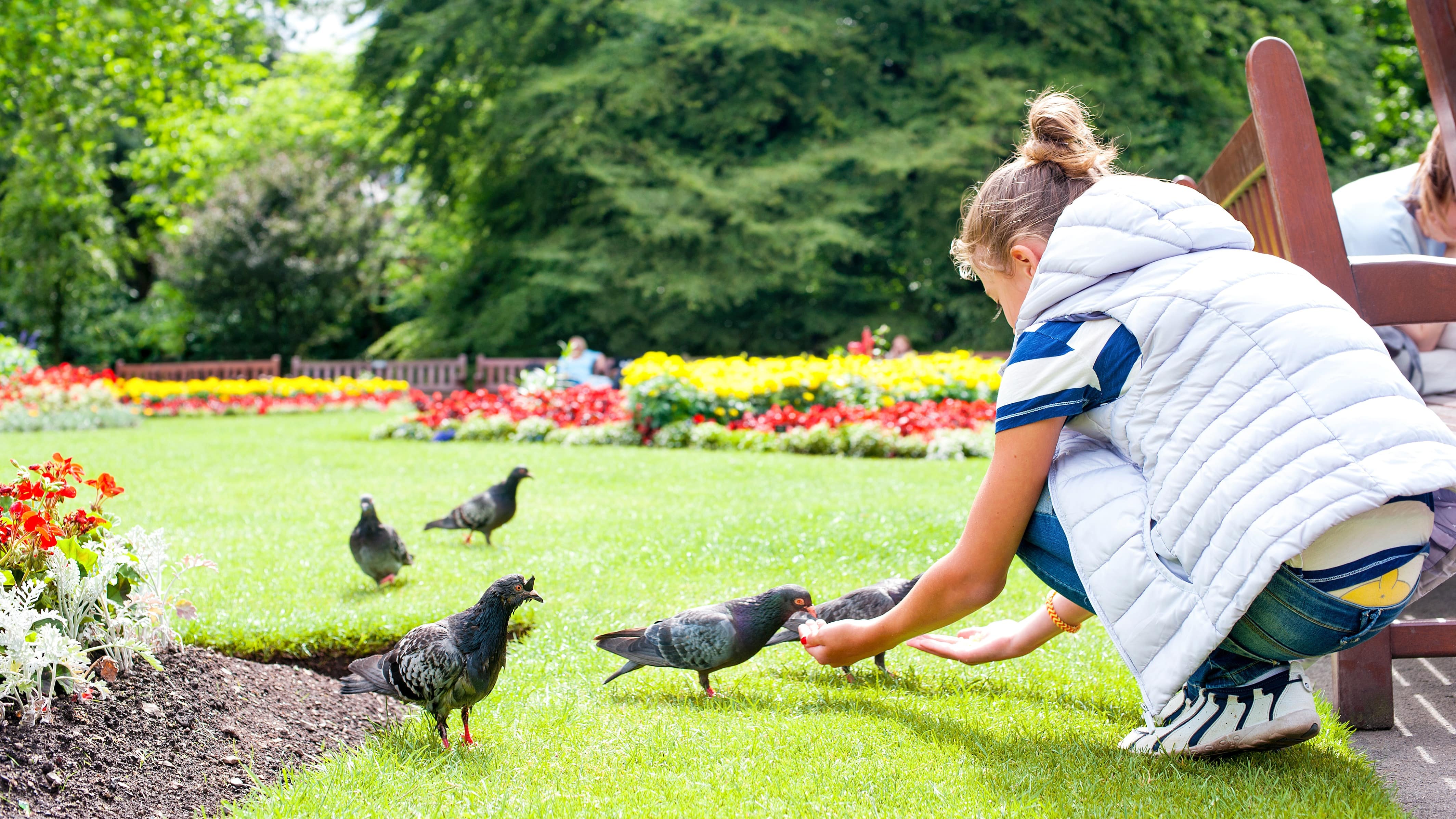 Explore the perfect Scotland family holiday