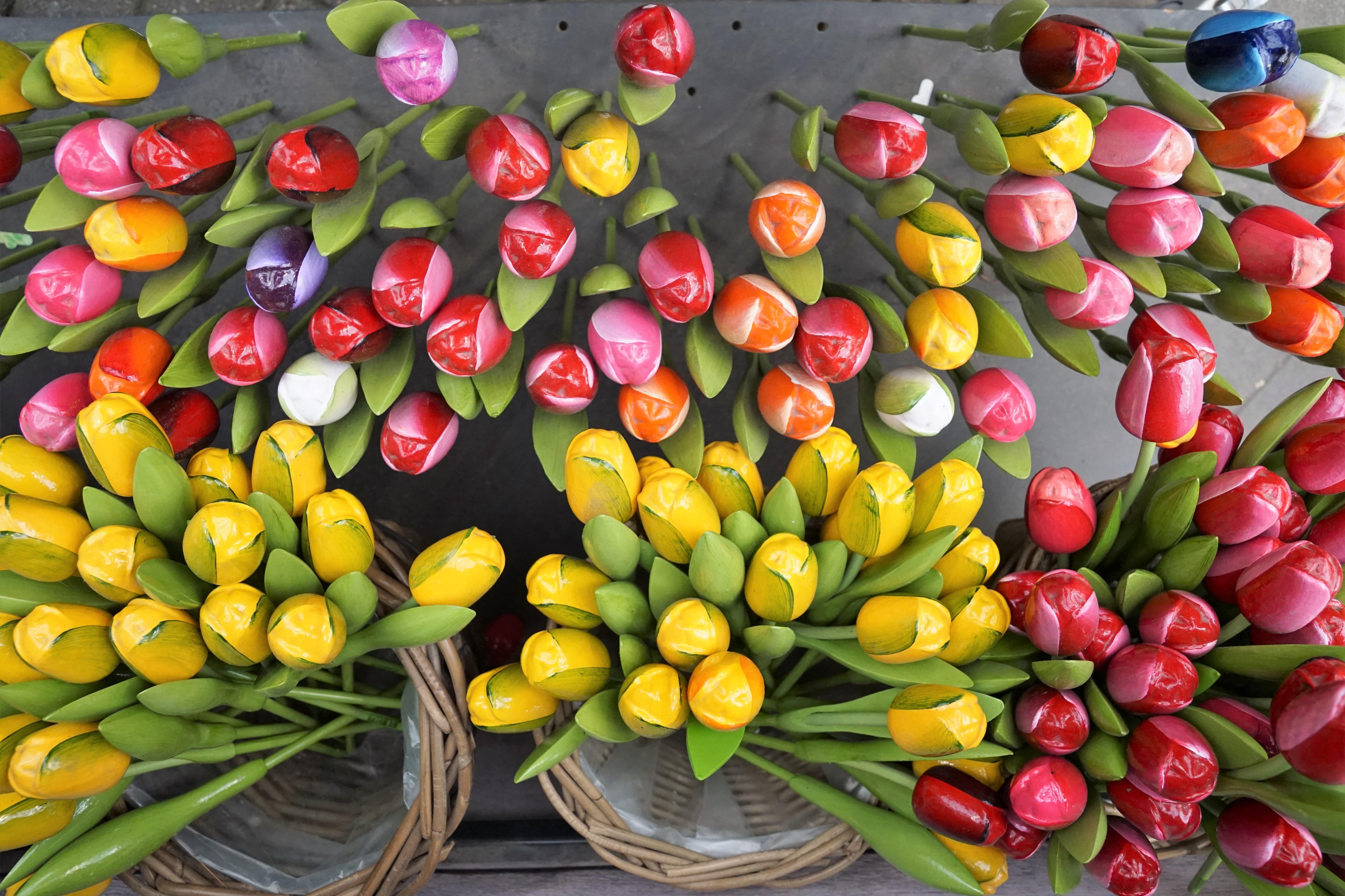 An Amsterdam mini break offers tulips, but much more besides