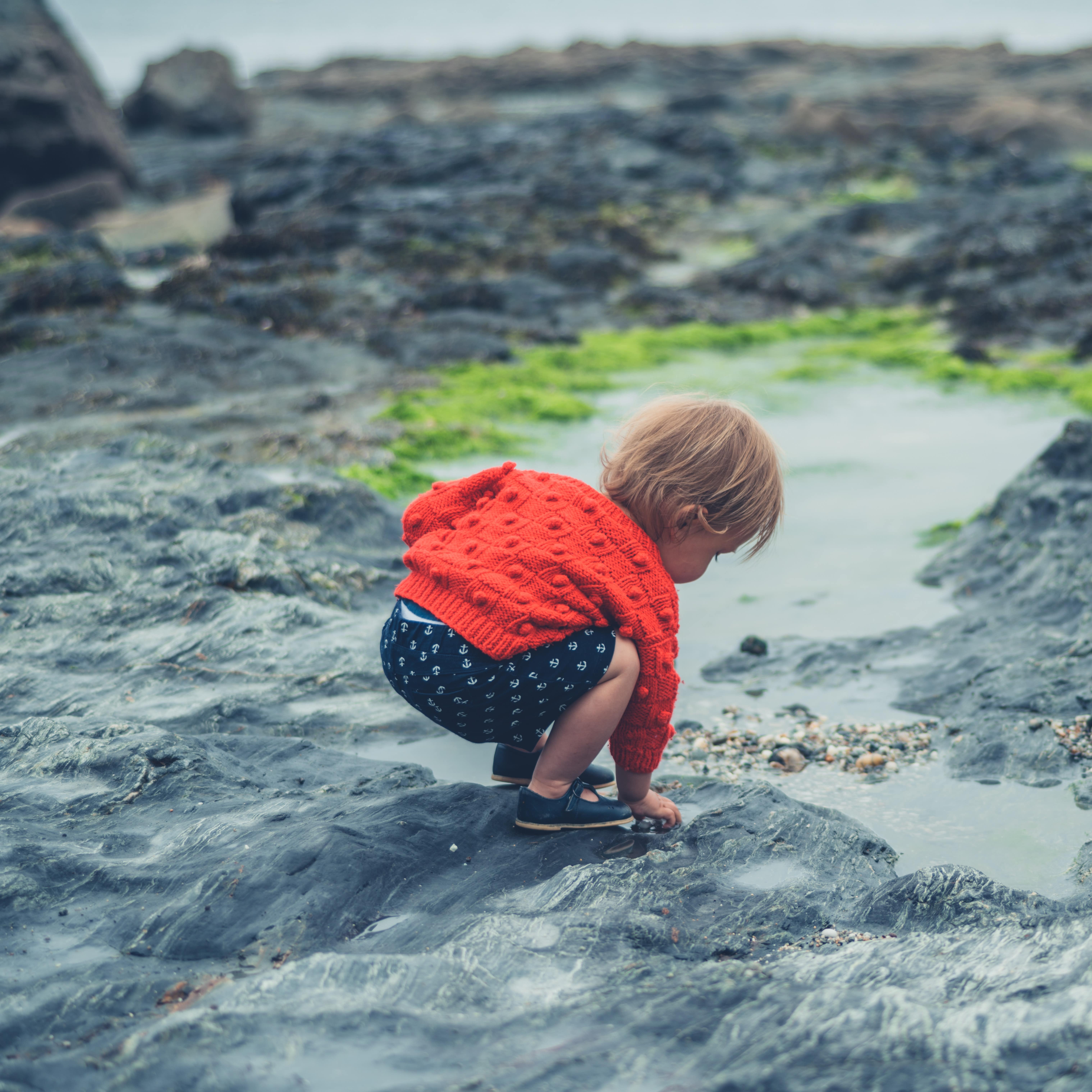 Toddler exploring a rock pool