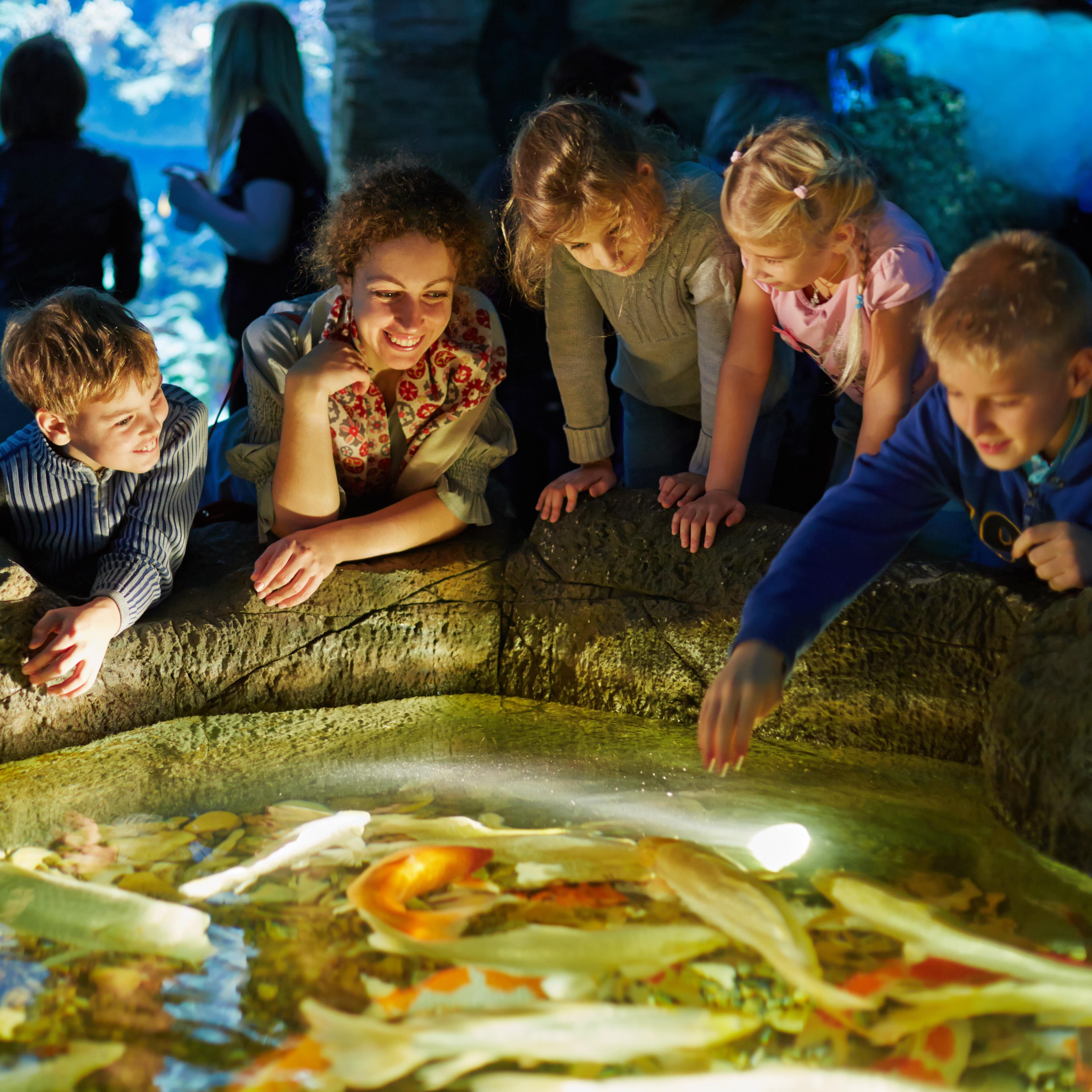 Mother and children looking at an exhibit in an aquarium