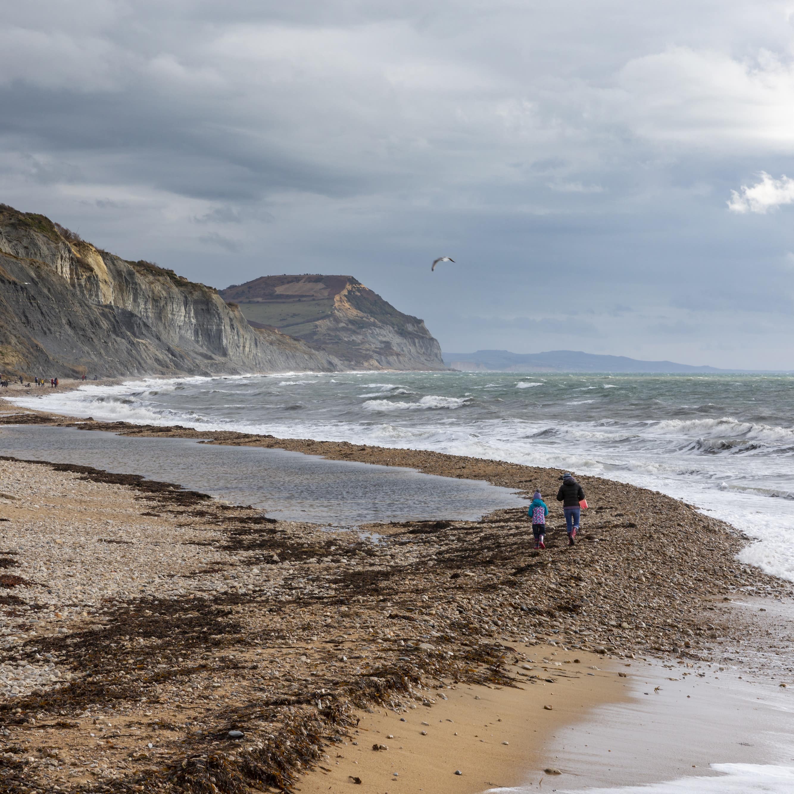 People hunting for fossils on Charmouth Beach on the Jurassic Coast in Dorset