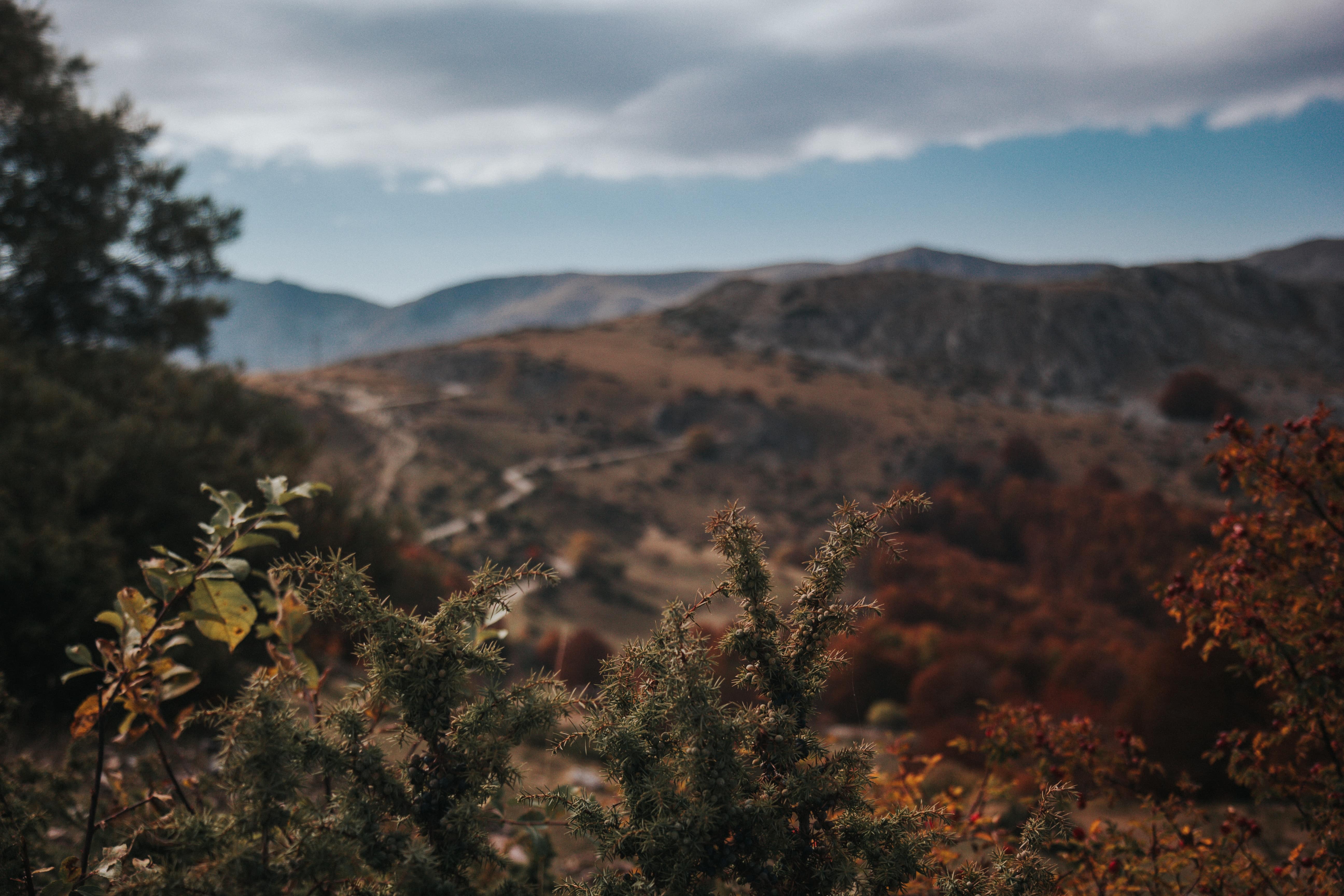 Valle del Roncal en Navarra: Pueblos y tradiciones