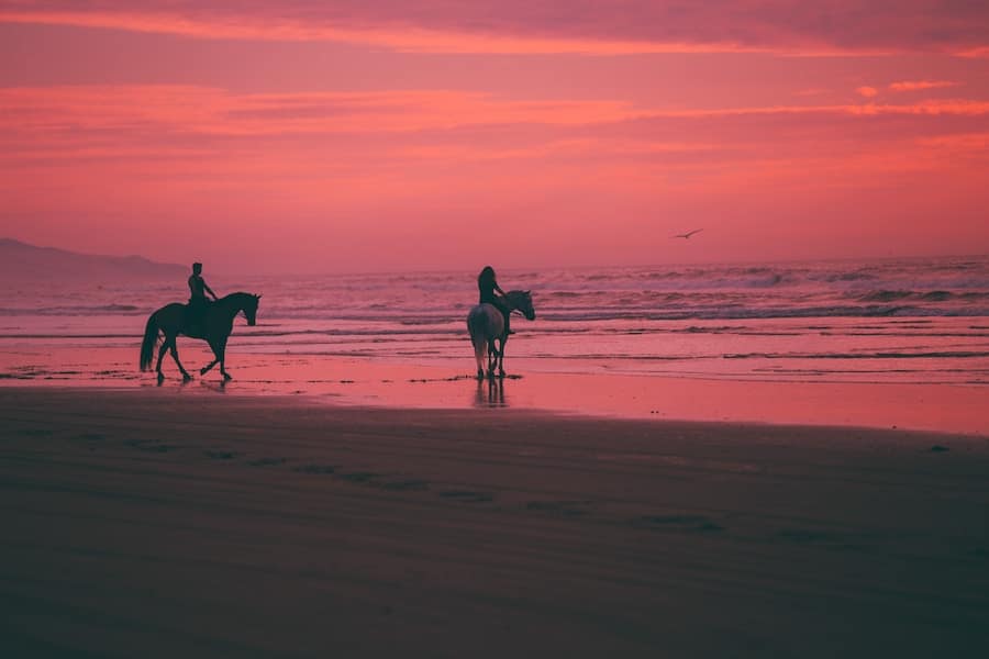 depositar Mesa final noche Carreras de caballos en las playas de españa