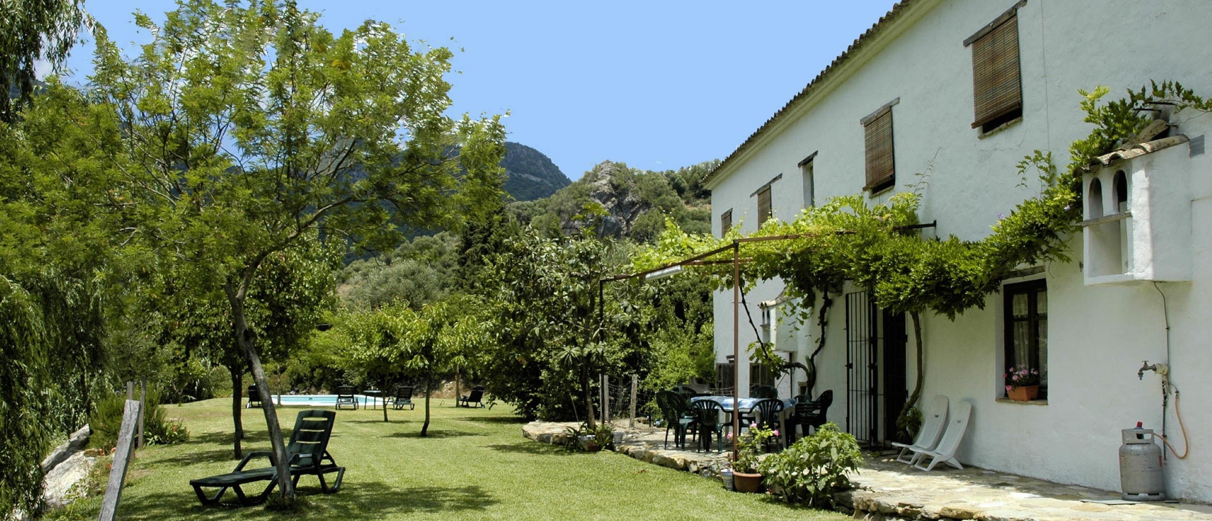 Tres ideas para alquilar una casa rural en Grazalema