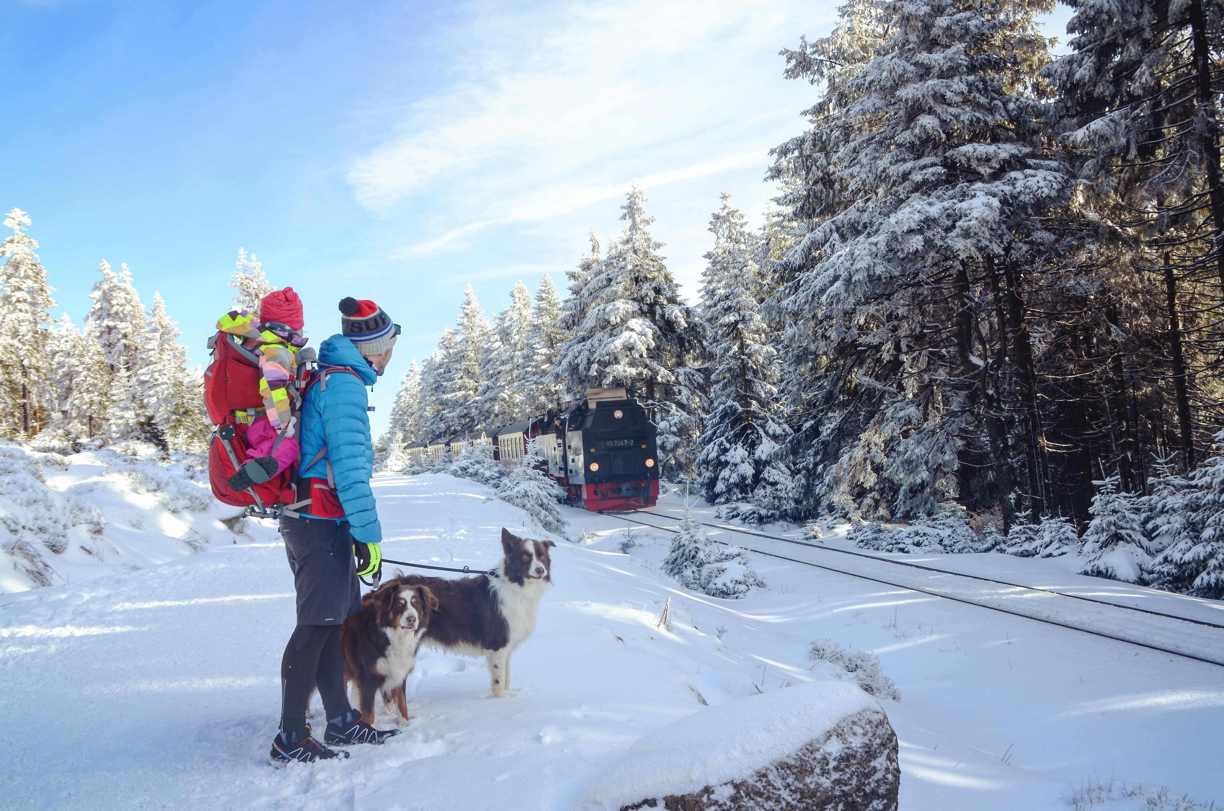Stock image - Family man child and dog in the snow in Brocken Germany watching a train - Photo by Marcel Martens