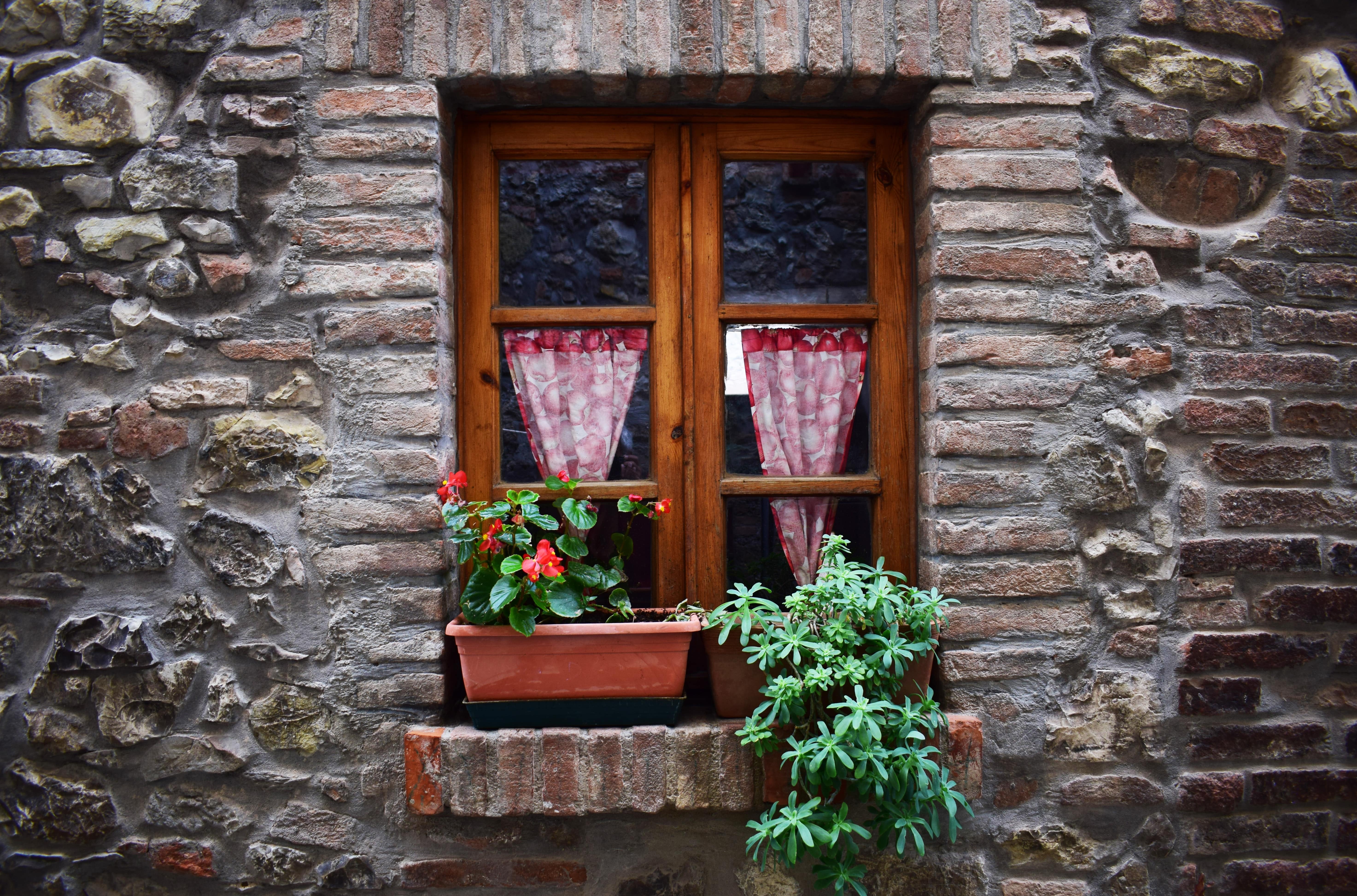 Stock image - Pretty window of a rural house in Tuscany, Italy - Photo by Chris Barbalis on Unsplash