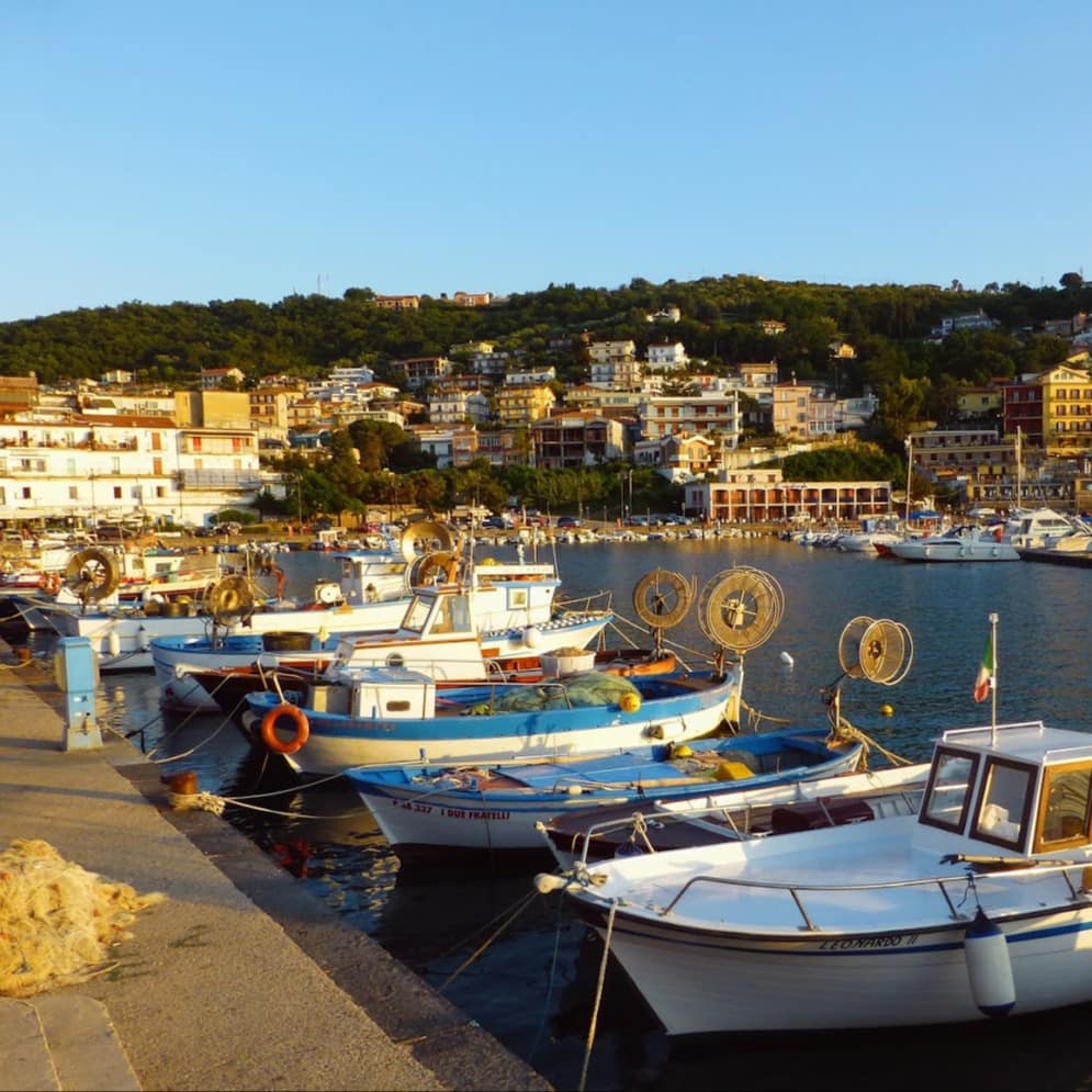 Porticciolo e scorcio cittadino
